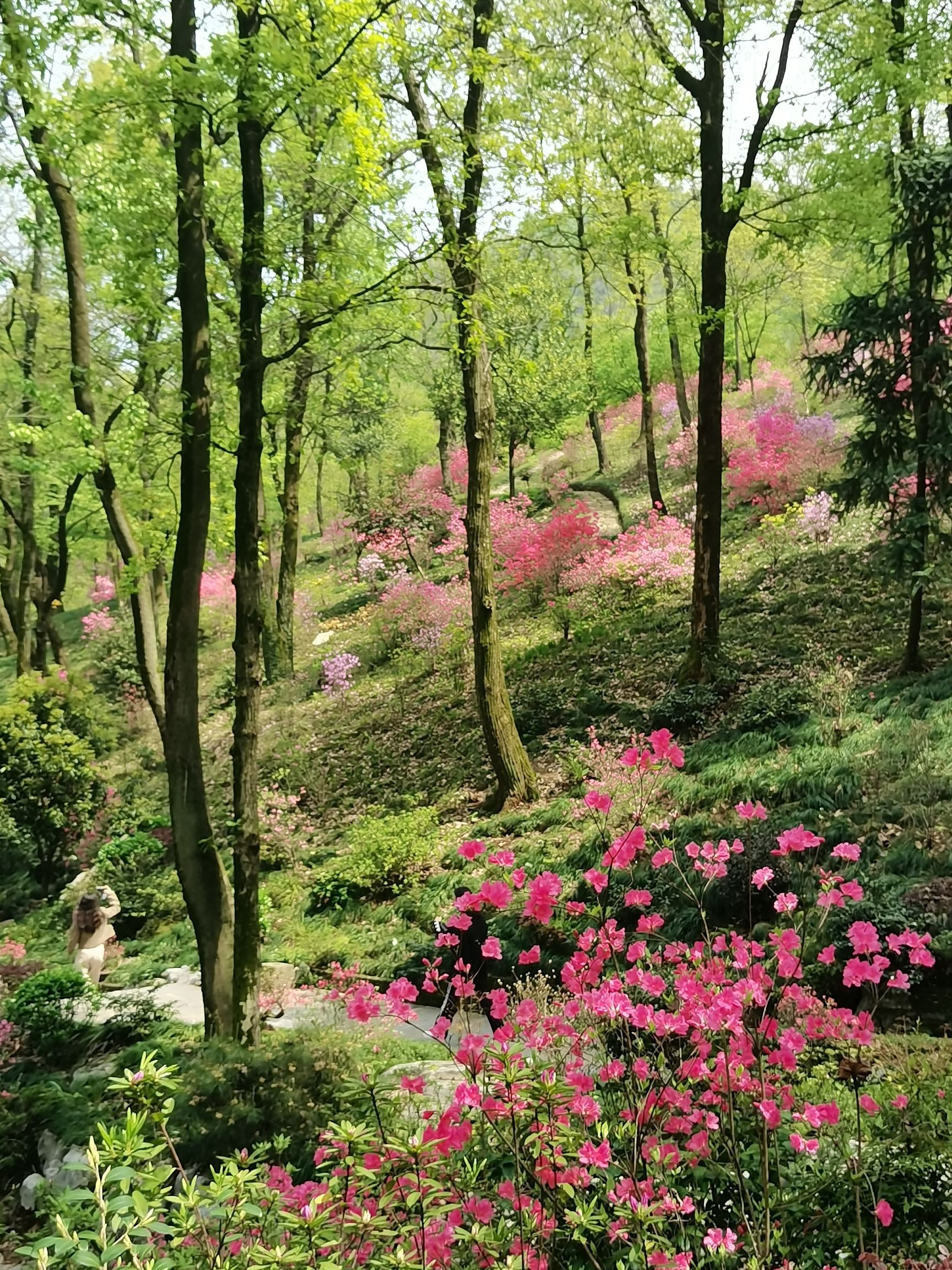永泉旅游度假区(永泉小镇)旅行图片 1