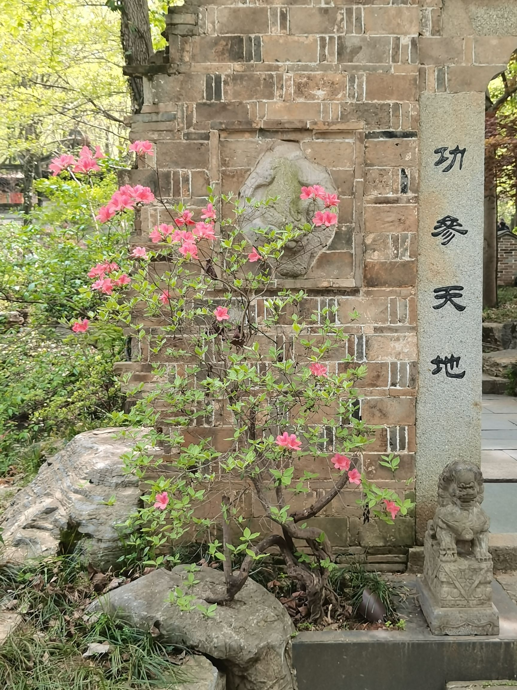 永泉旅游度假区(永泉小镇)旅行图片 2