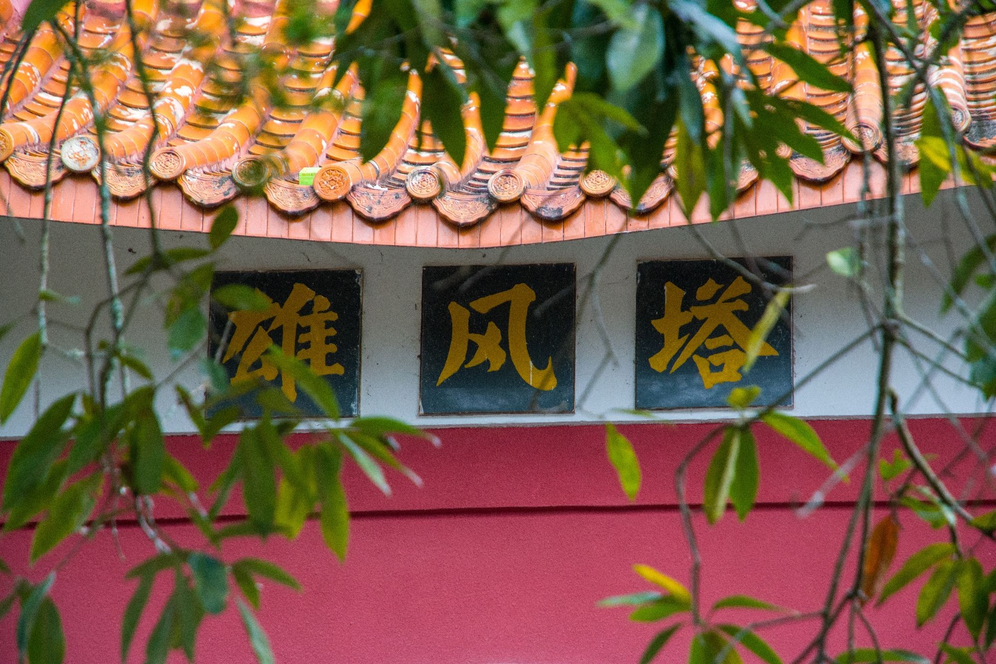 雄风塔旅行图片 1