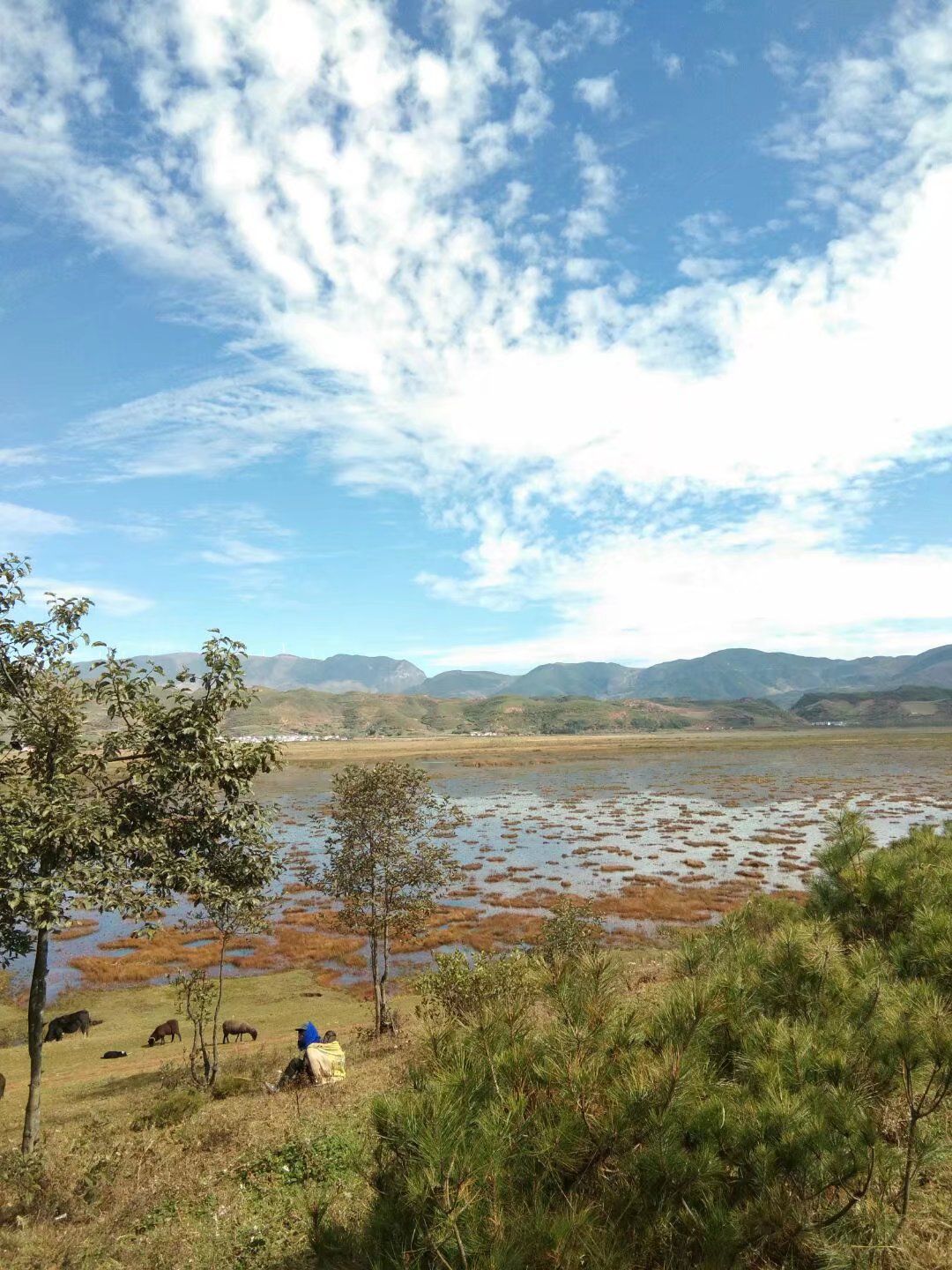乐安湿地旅行图片 2