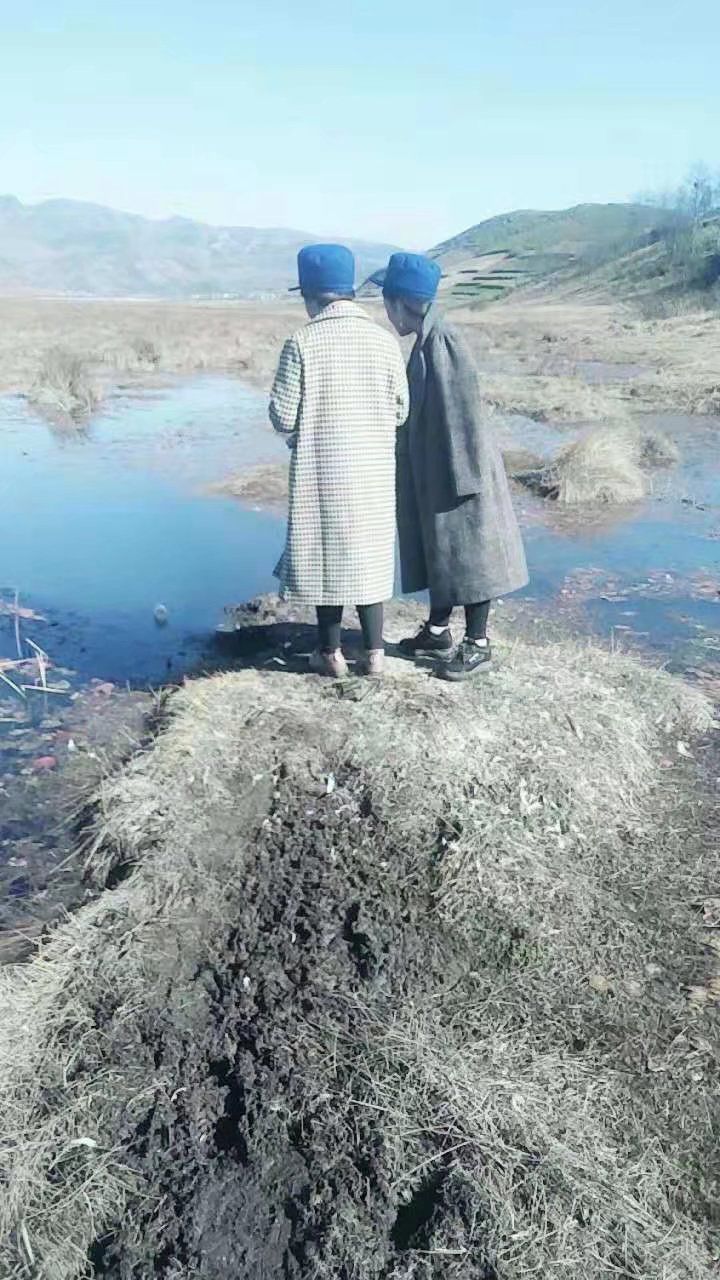 乐安湿地旅行图片 1