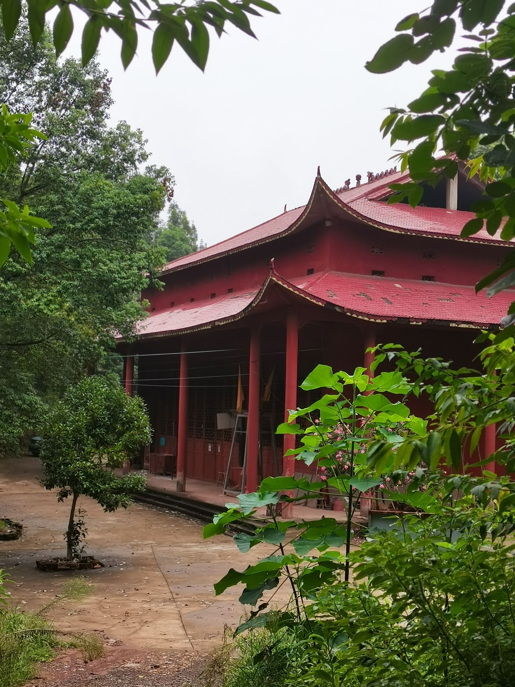 金紫观旅行图片 1