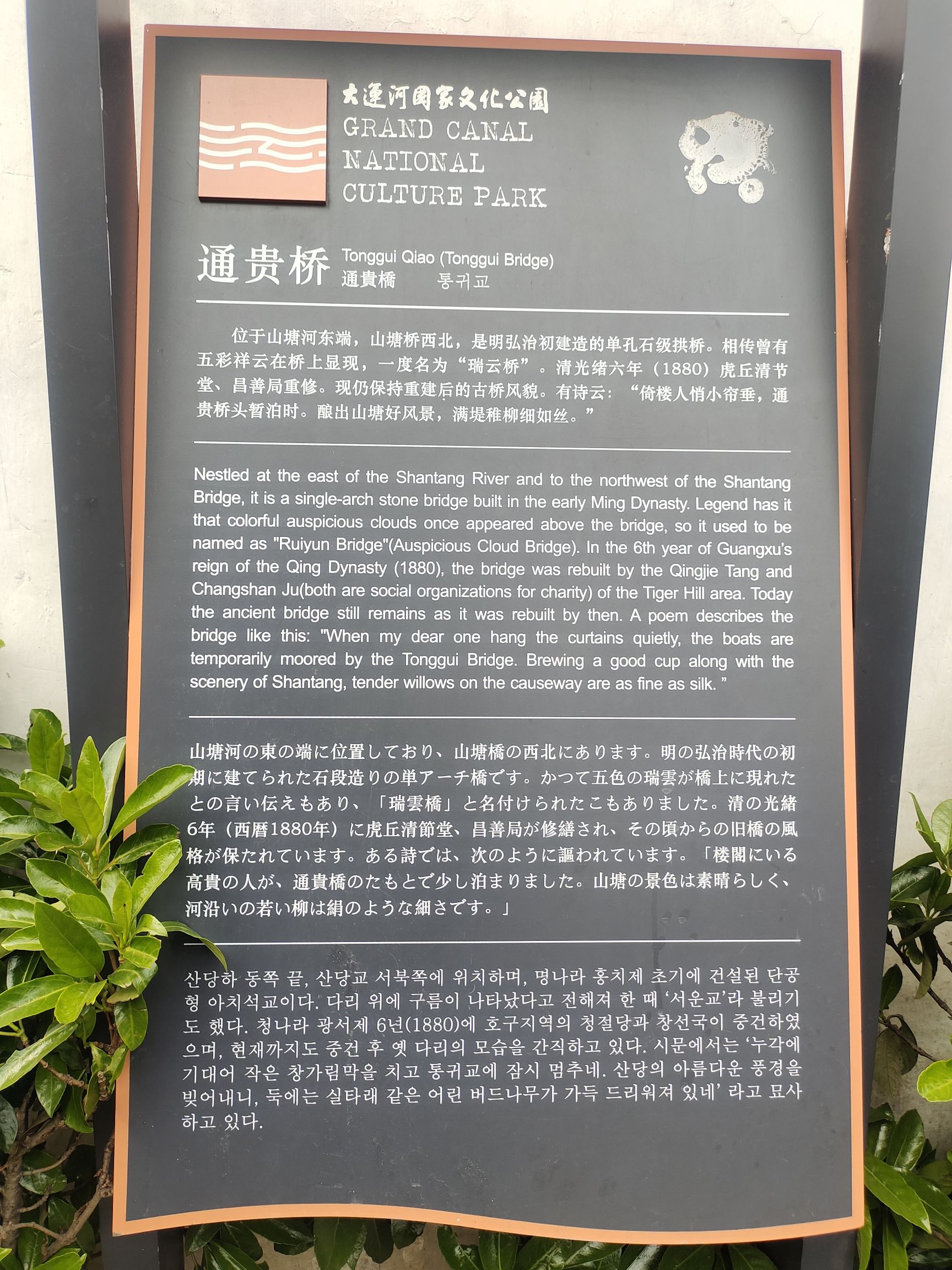 通贵狸旅行图片 1
