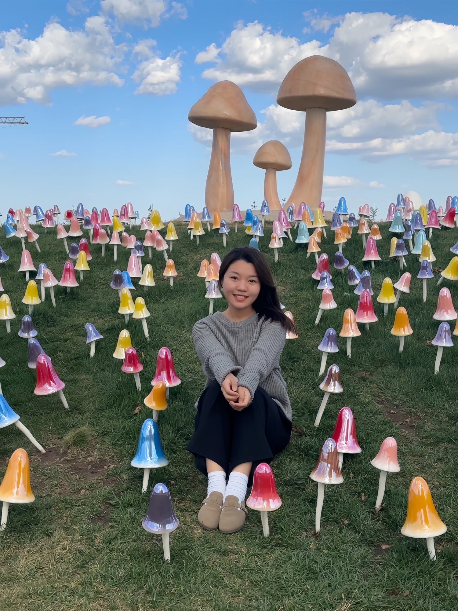 蘑菇村庄旅行图片 1