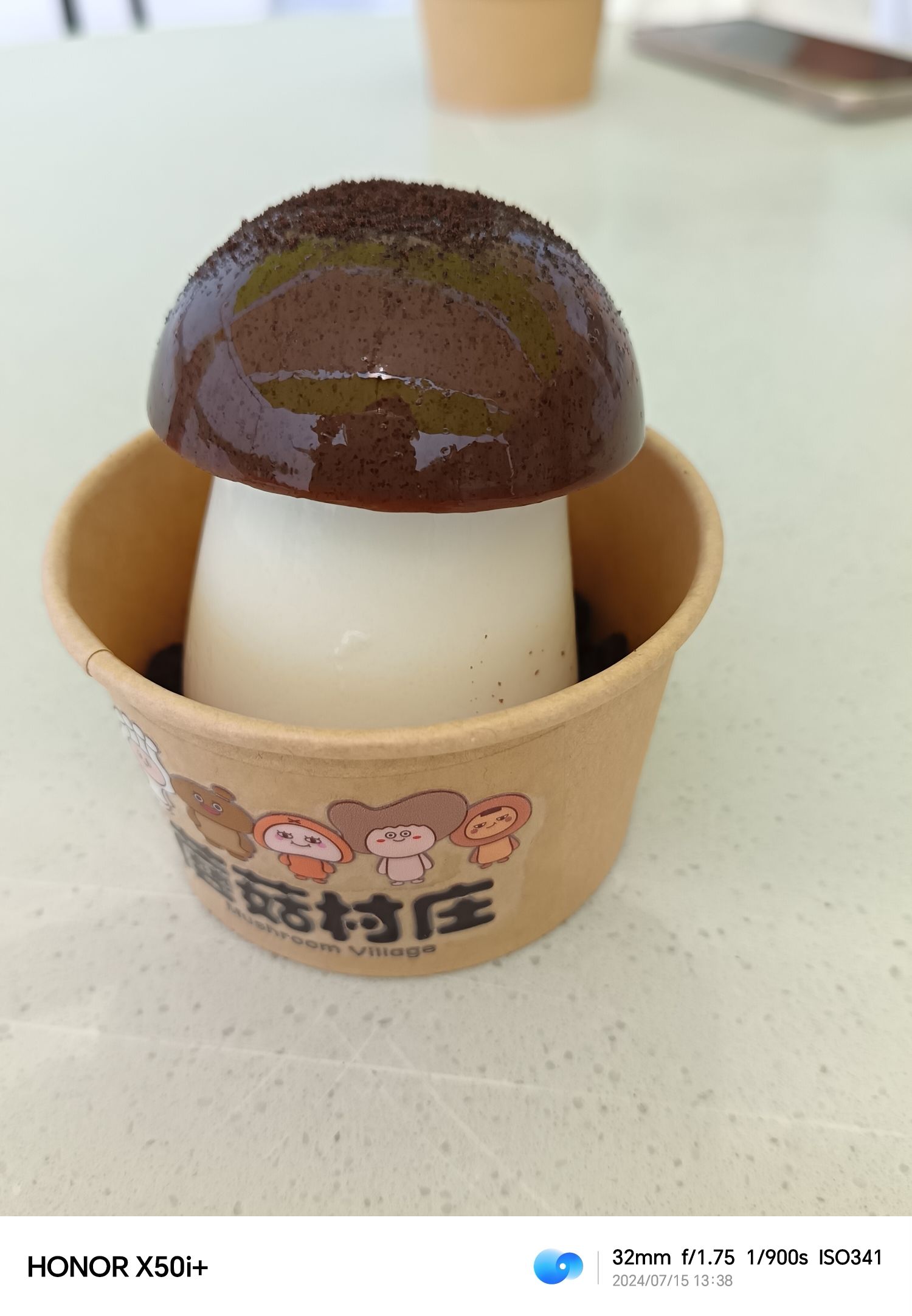 蘑菇村庄旅行图片 1