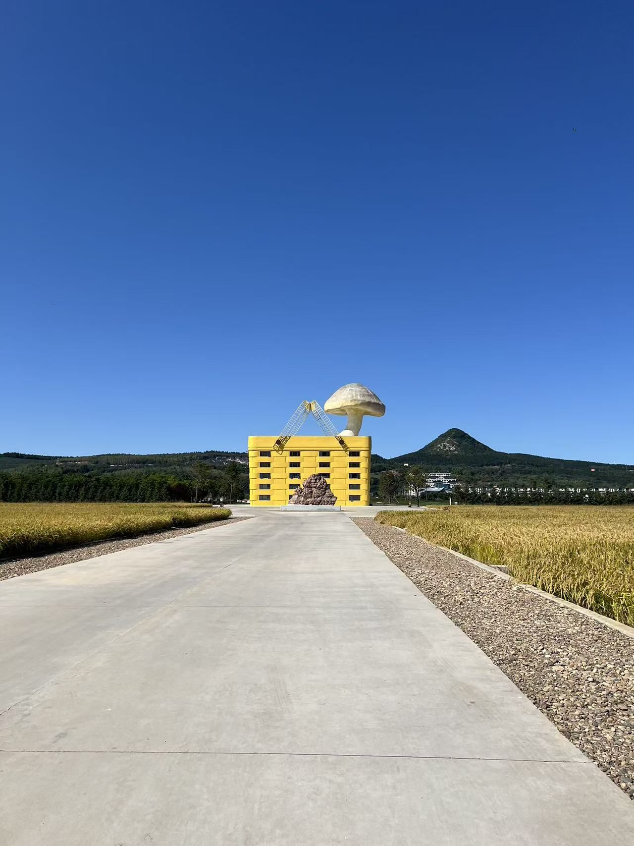 蘑菇村庄景点图片