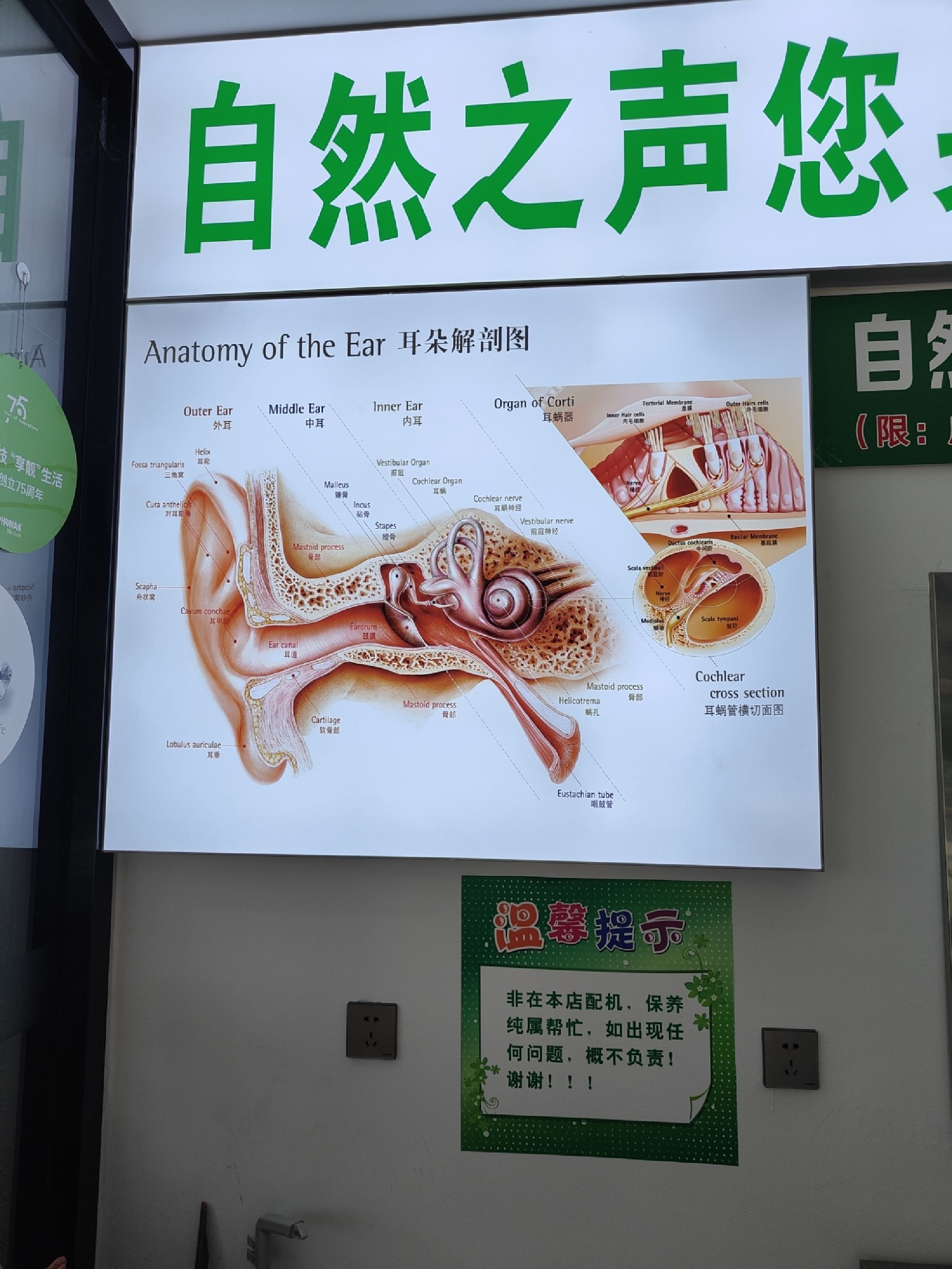 自然之声助听器·呼吸机(崇左江州区店)