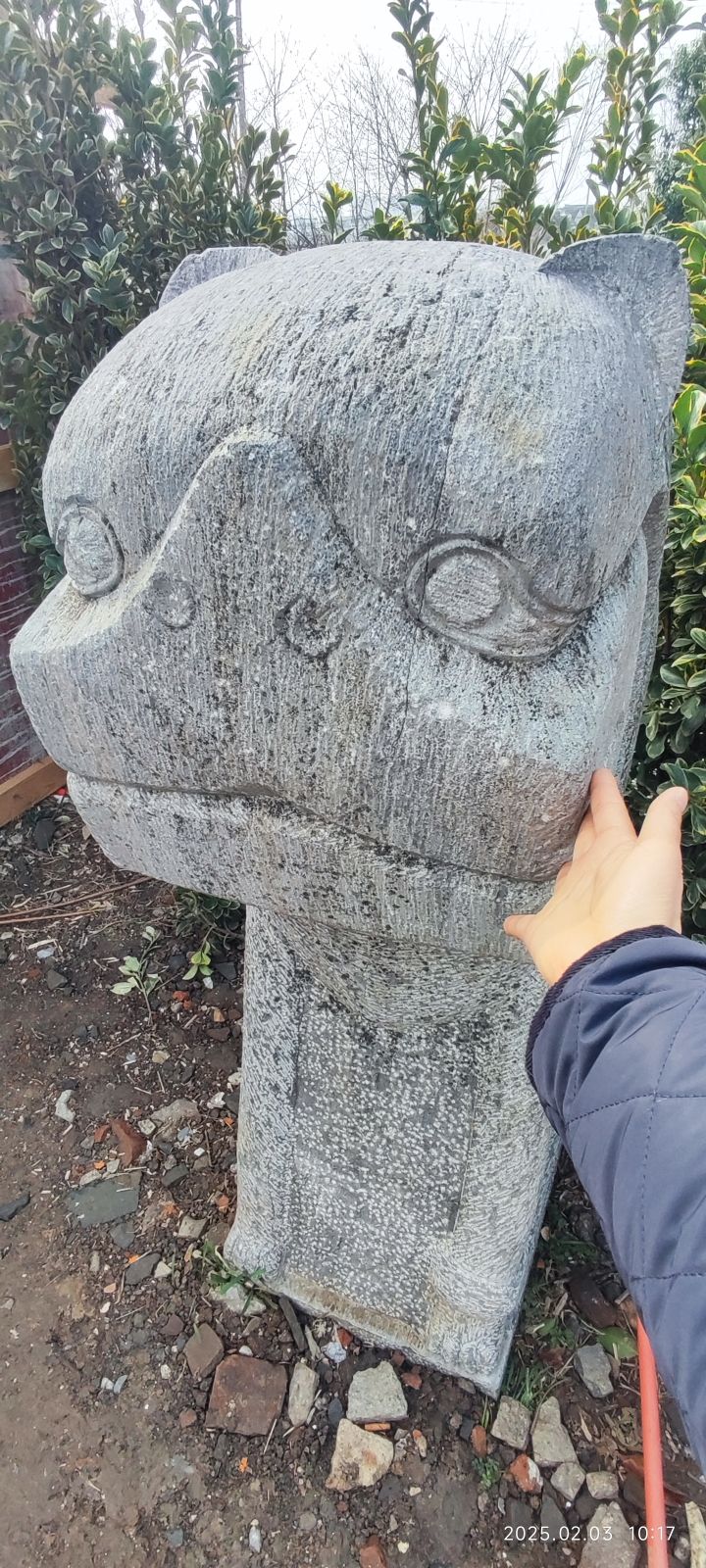 分水狸旅行图片 3