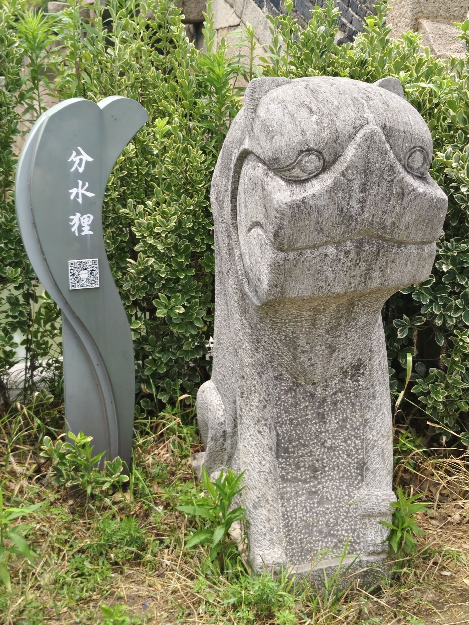 分水狸旅行图片 3