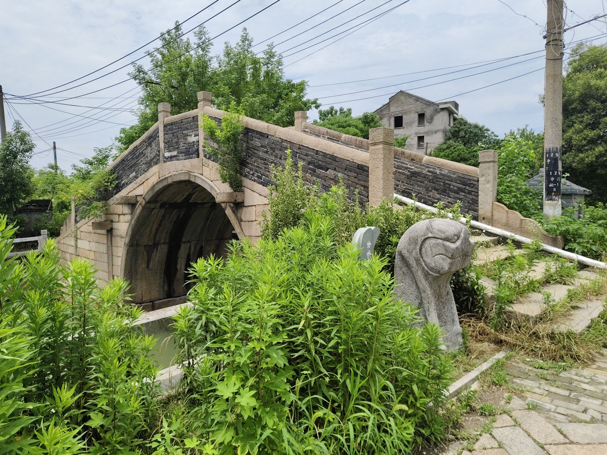 分水狸旅行图片 1