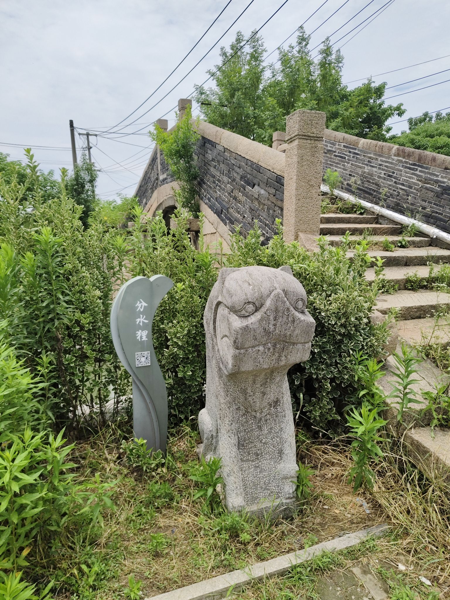 分水狸旅行图片 2