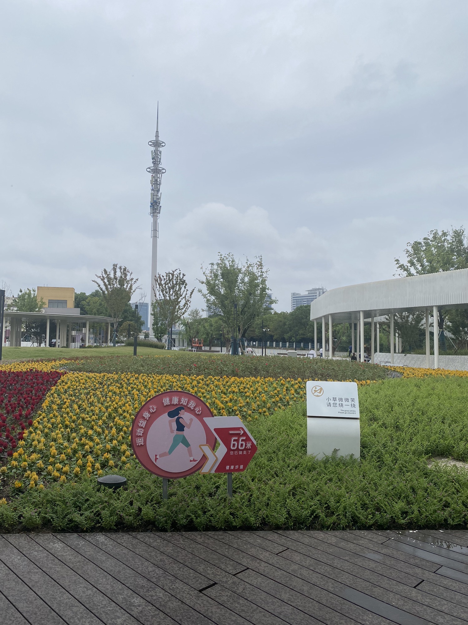黄天荡公园旅行图片 3