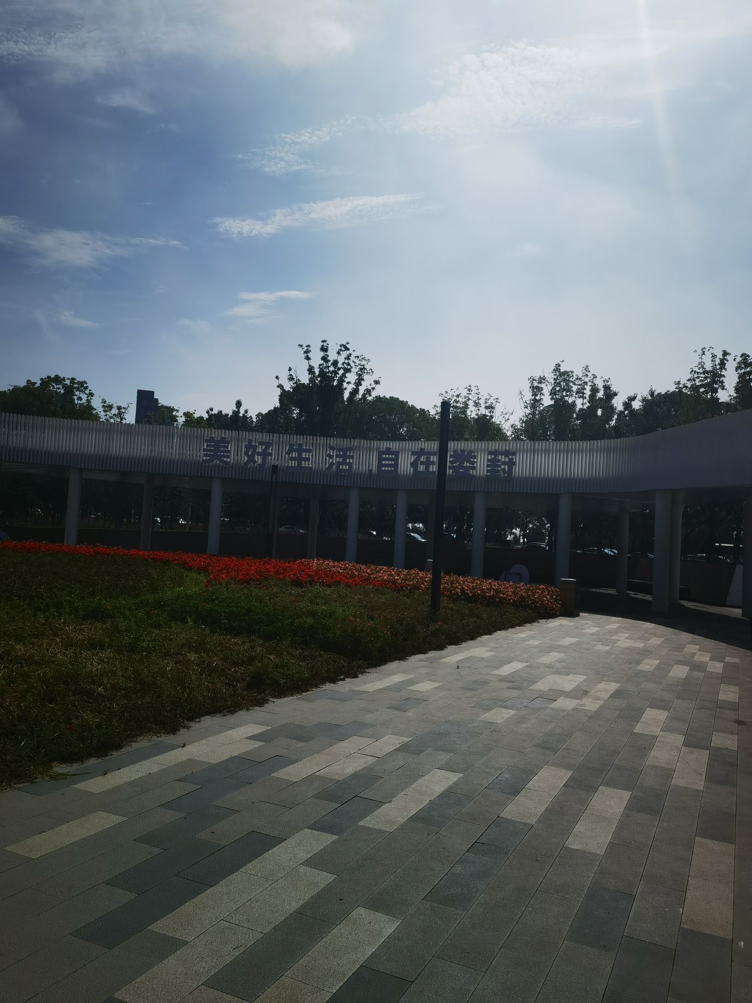 黄天荡公园旅行图片 2