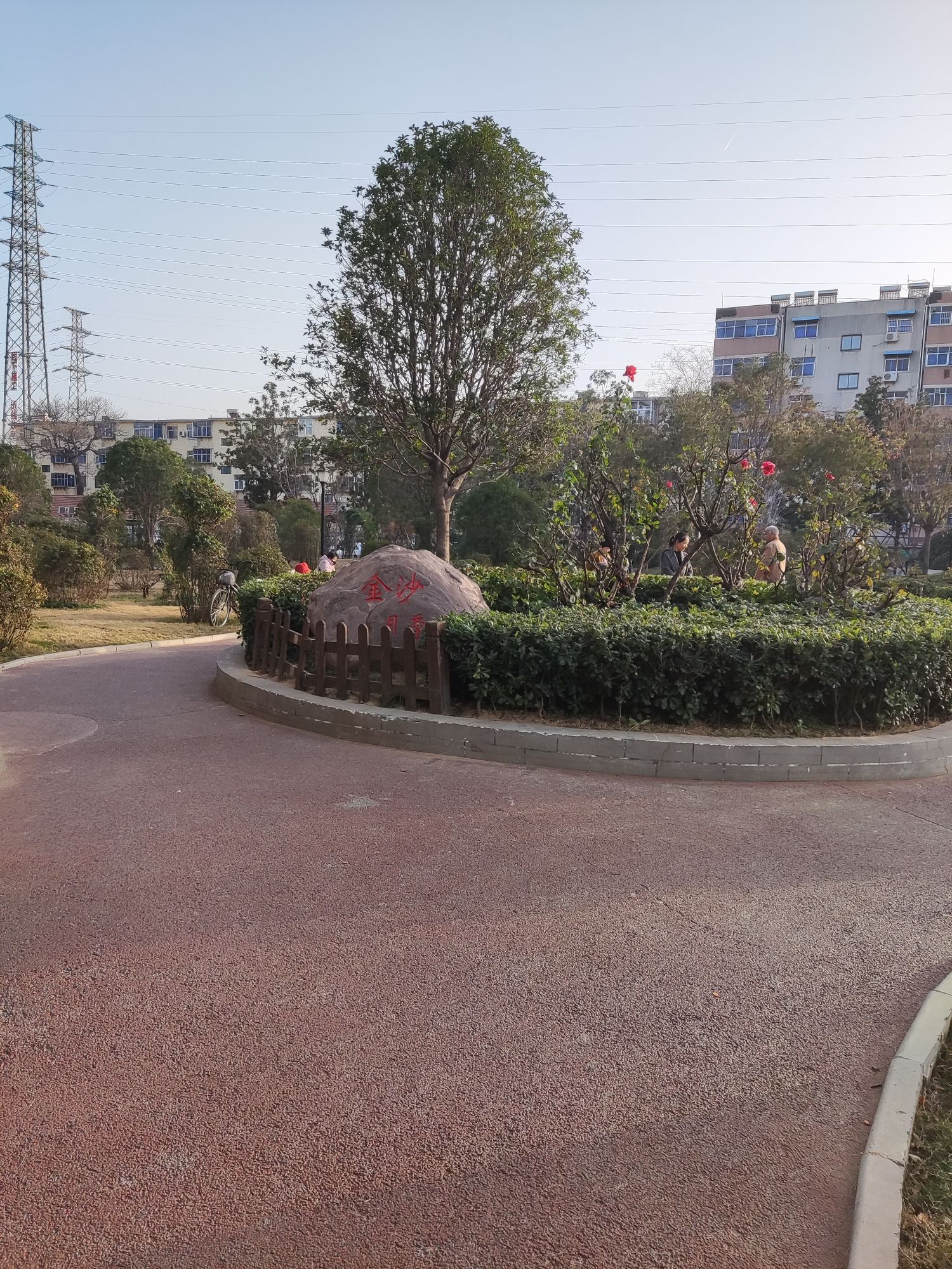 金沙月季园旅行图片 1