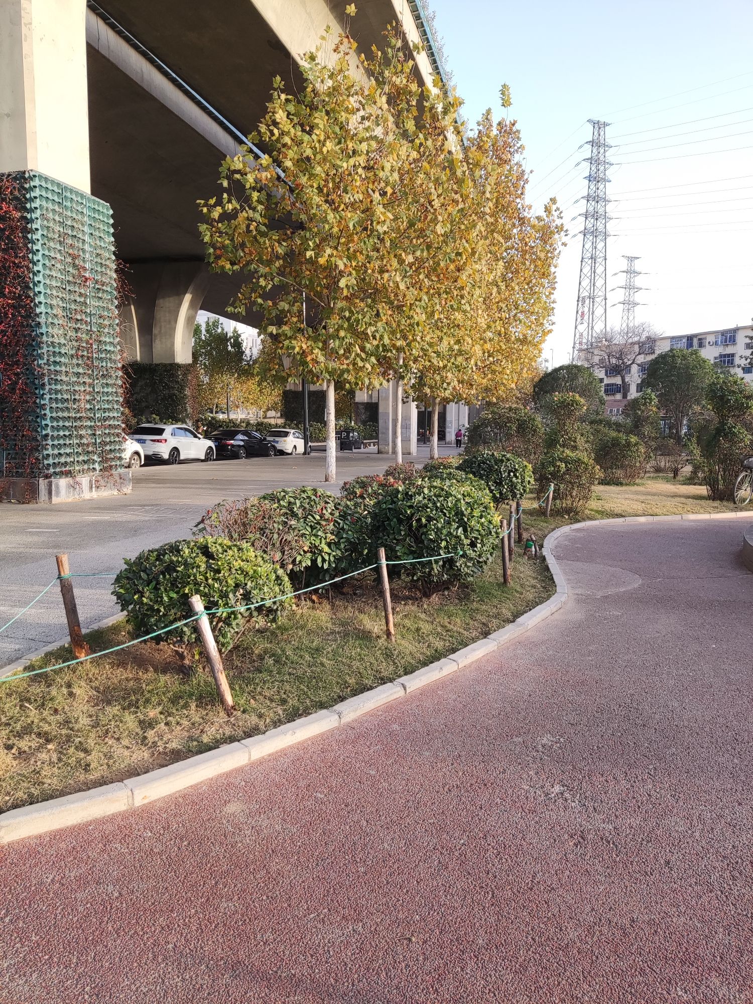 金沙月季园旅行图片 3
