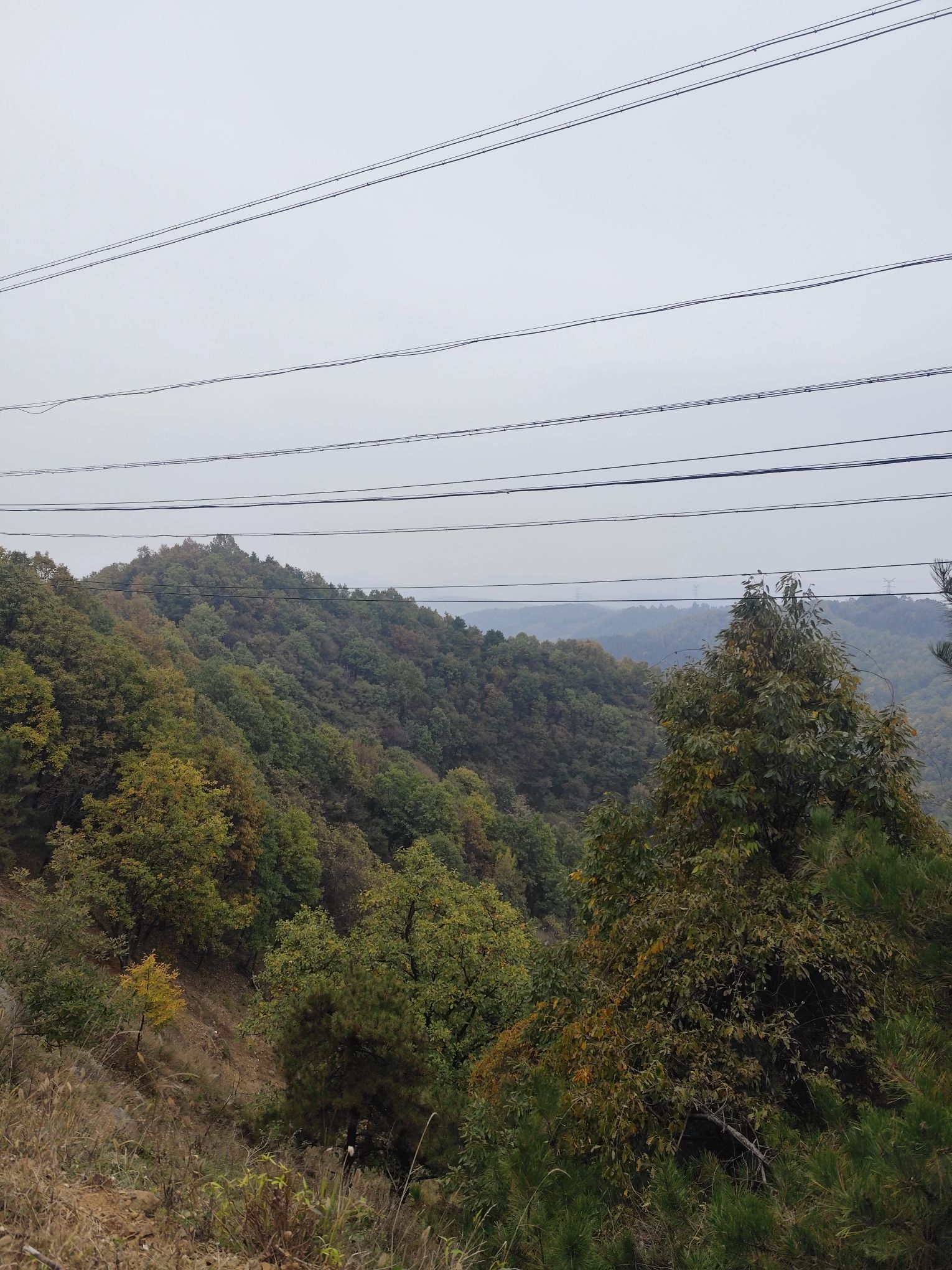 铁岭层云(卢氏古八景之一)旅行图片 3