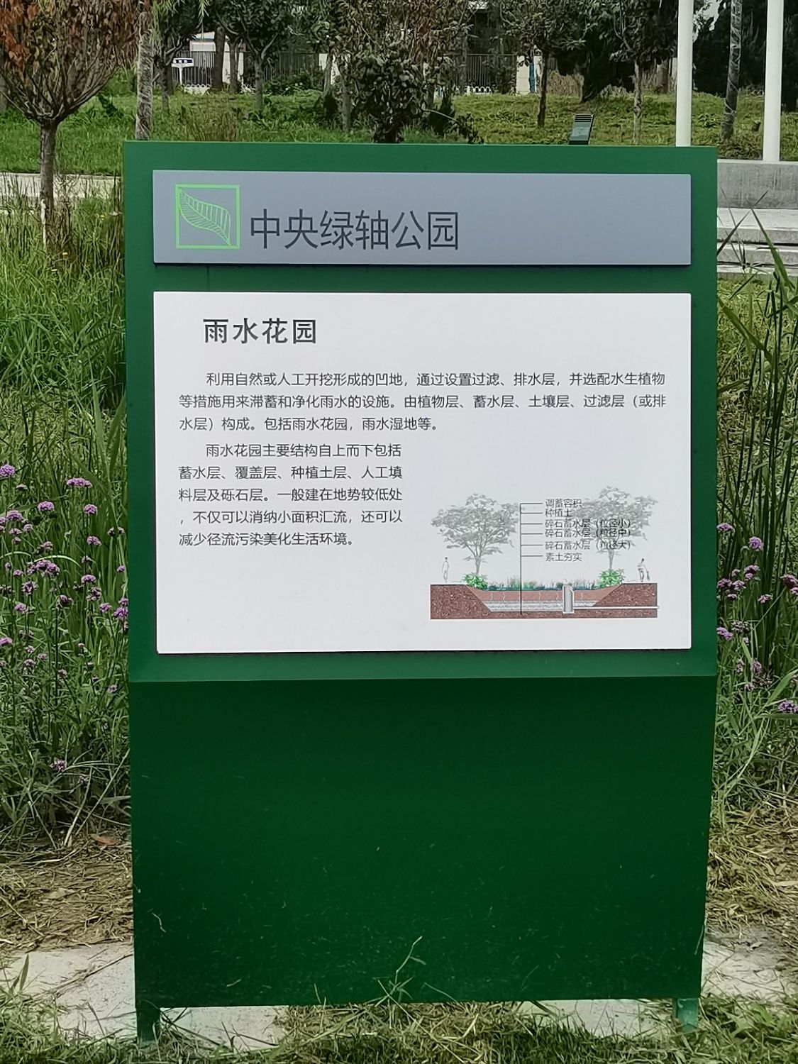 中央绿轴公园雨水花园旅行图片 1