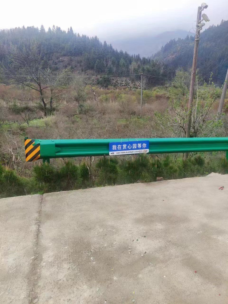 赏心园旅行图片 2