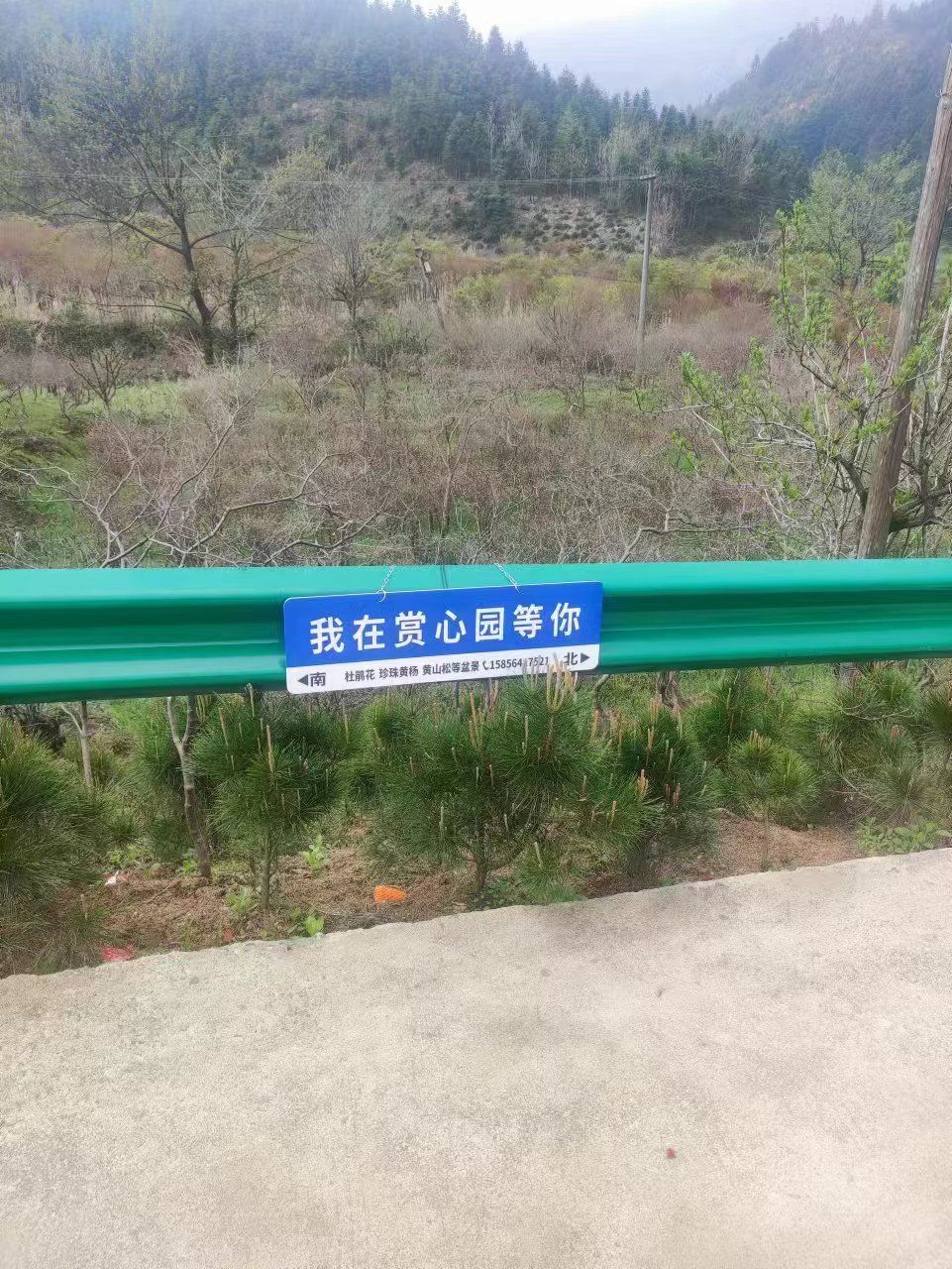 赏心园旅行图片 3