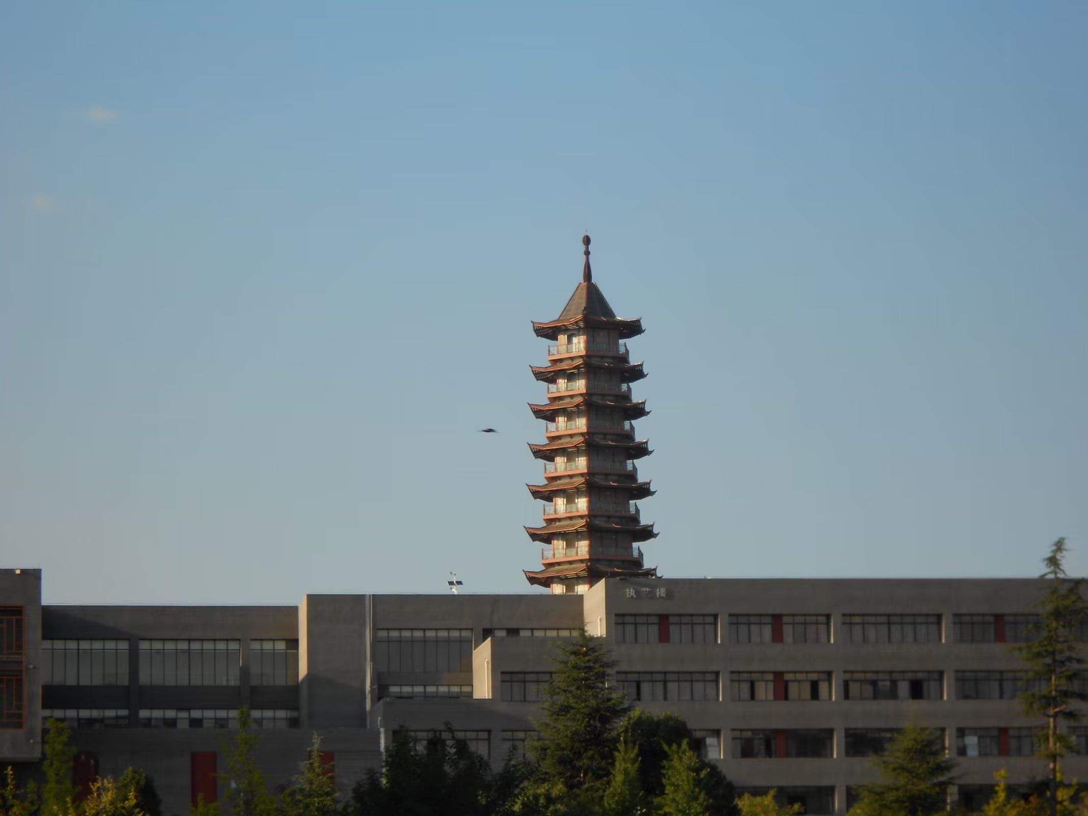 星耀塔旅行图片 2