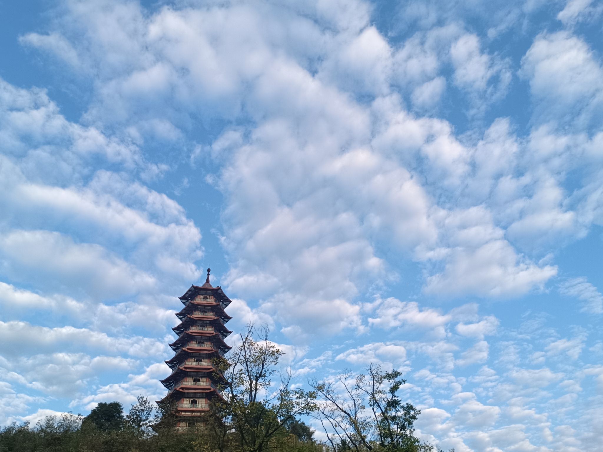 星耀塔旅行图片 1