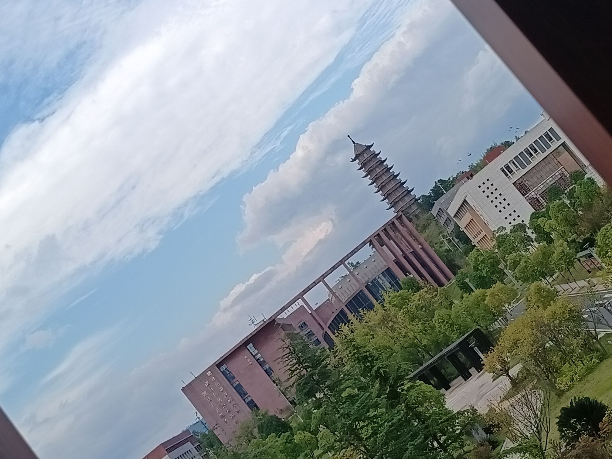 星耀塔旅行图片 3
