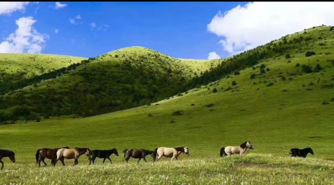 玉科欢喜台(暂停开放)旅行图片 1