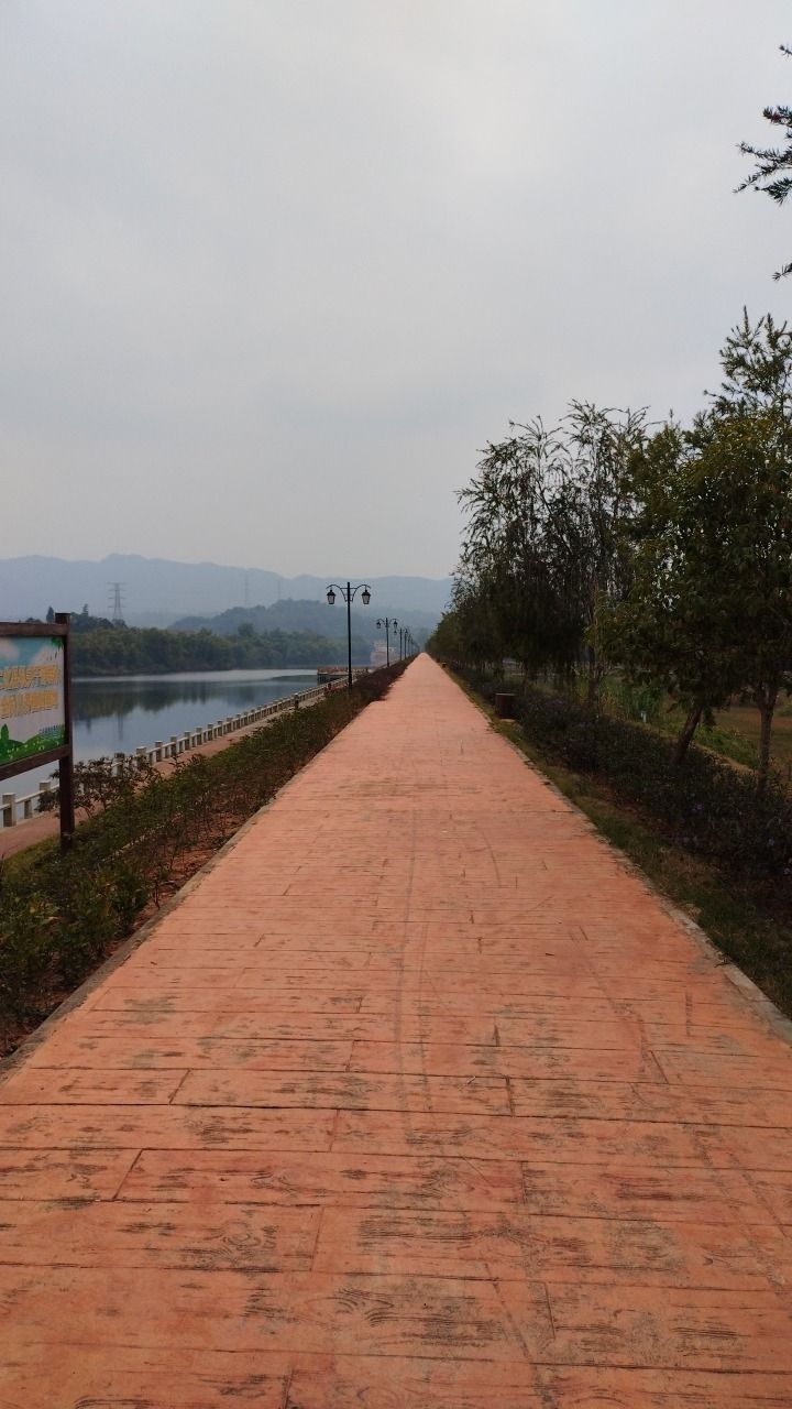 西岸湿地公园旅行图片 3