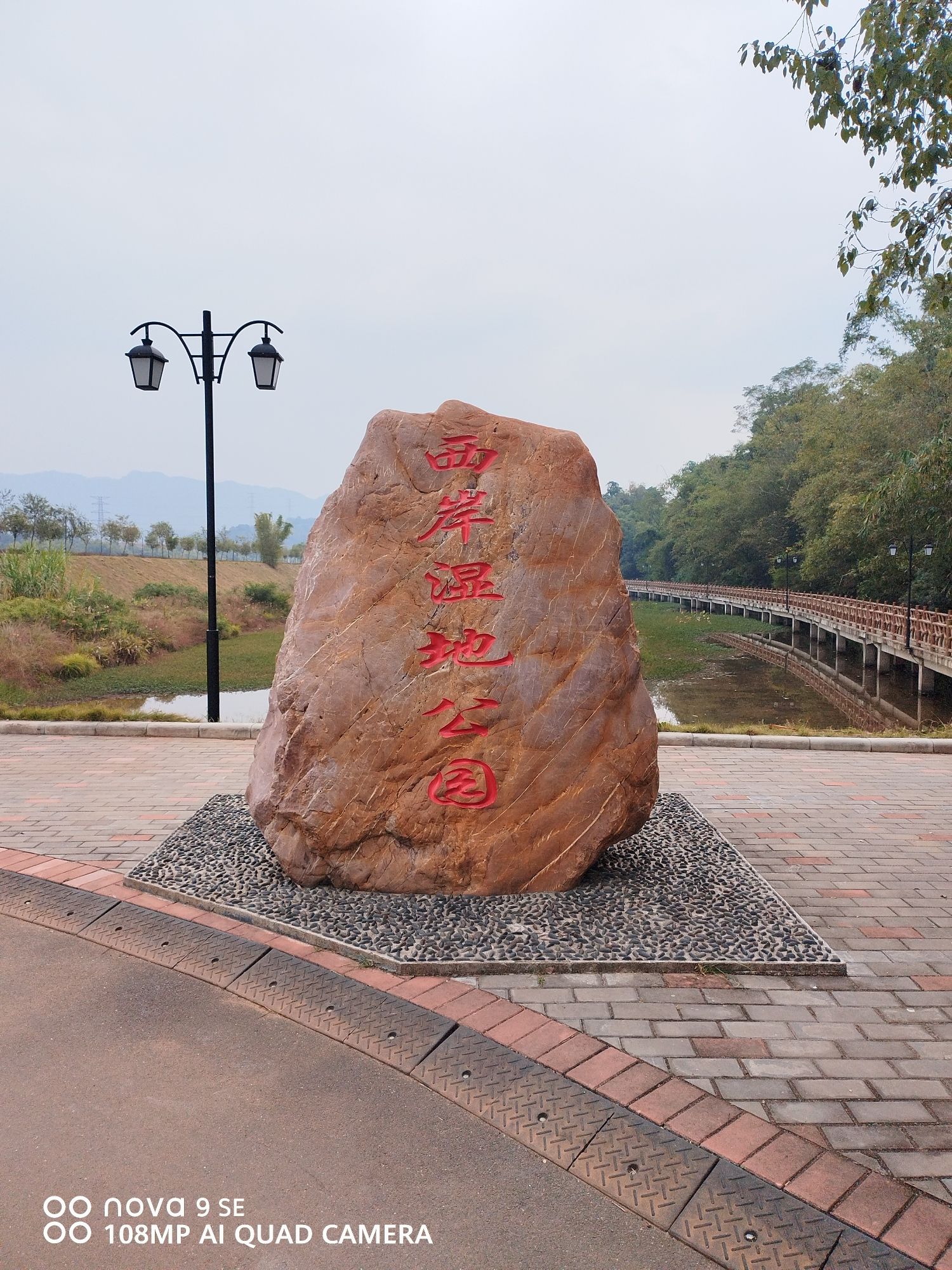 西岸湿地公园旅行图片