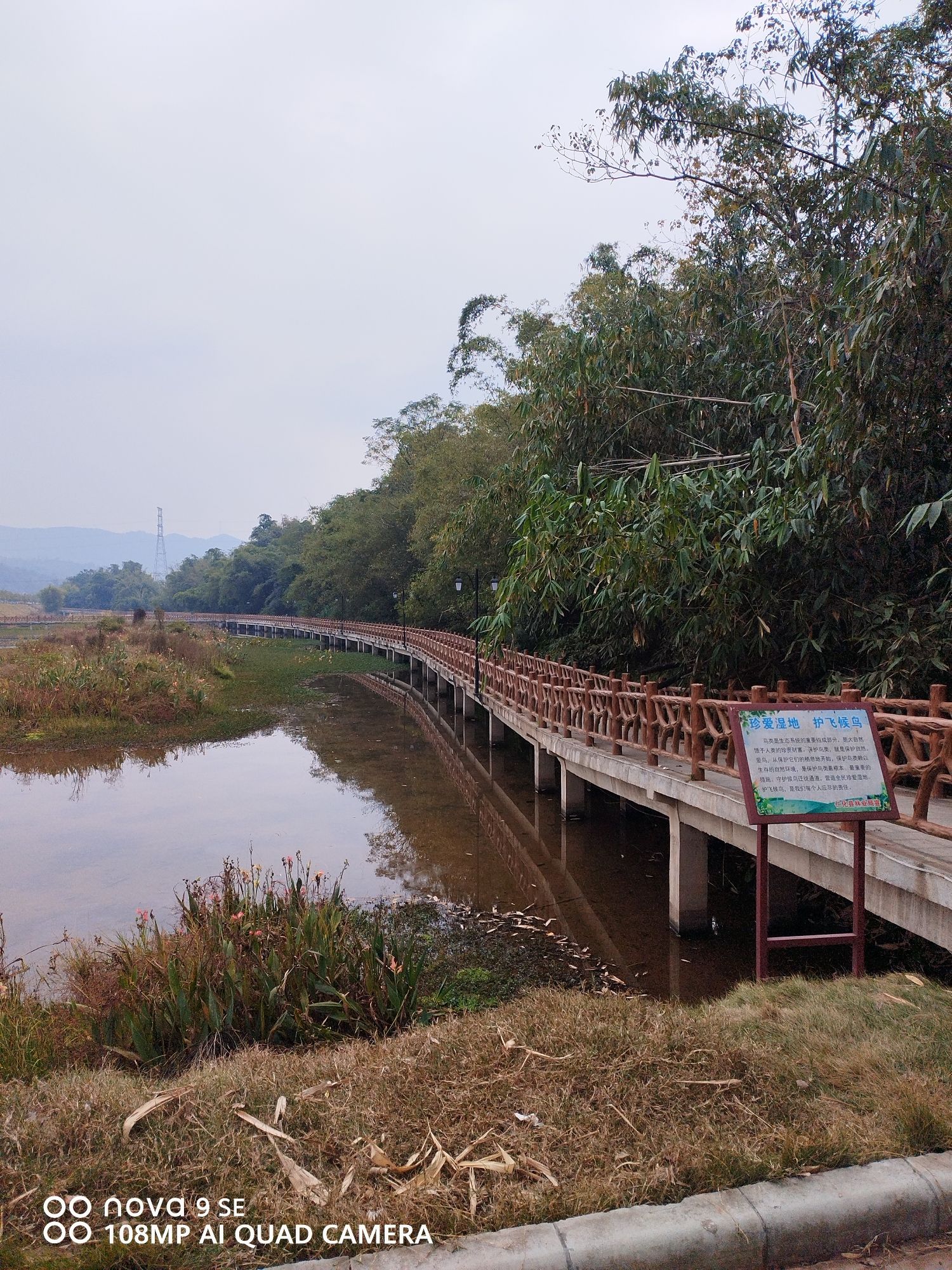 西岸湿地公园旅行图片 2