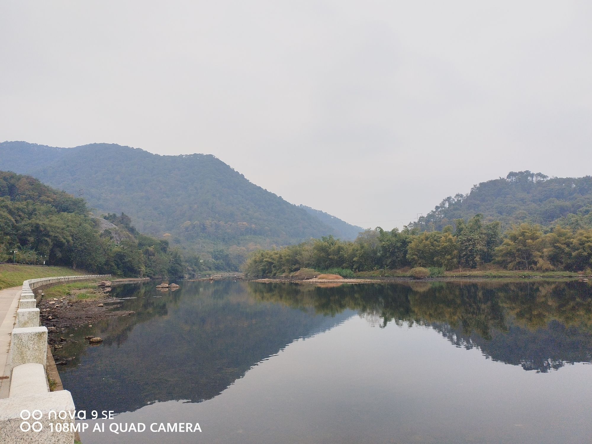 西岸湿地公园旅行图片 1