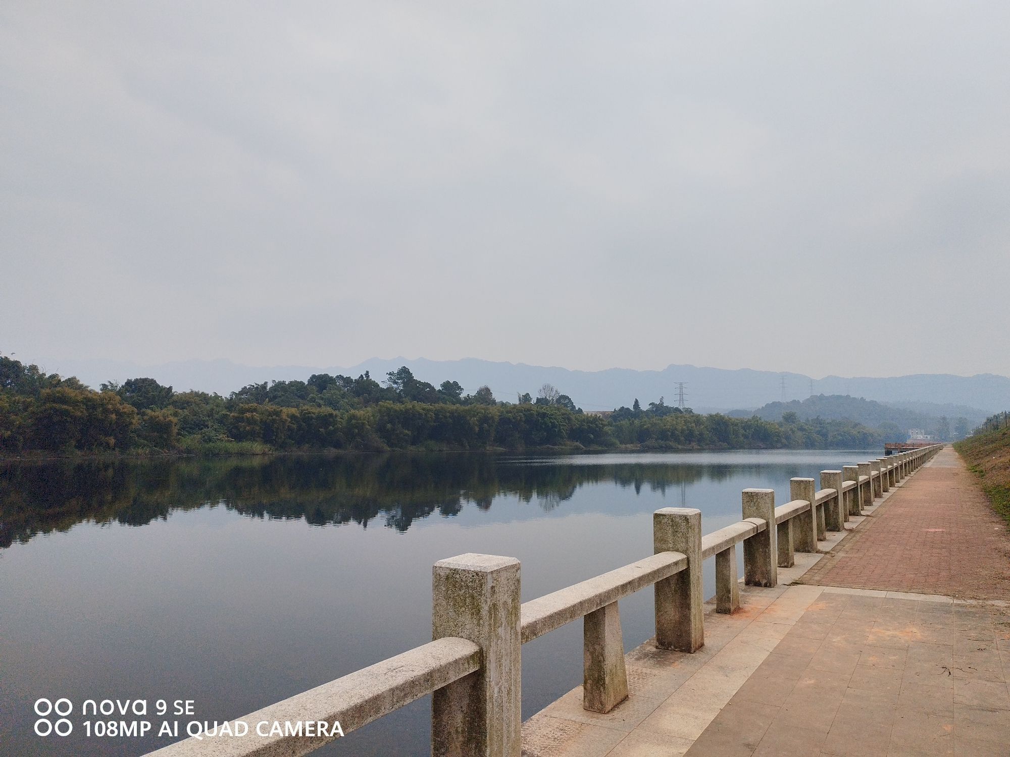西岸湿地公园旅行图片 3