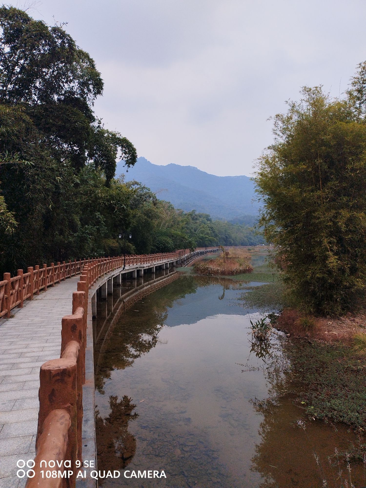 西岸湿地公园旅行图片 2