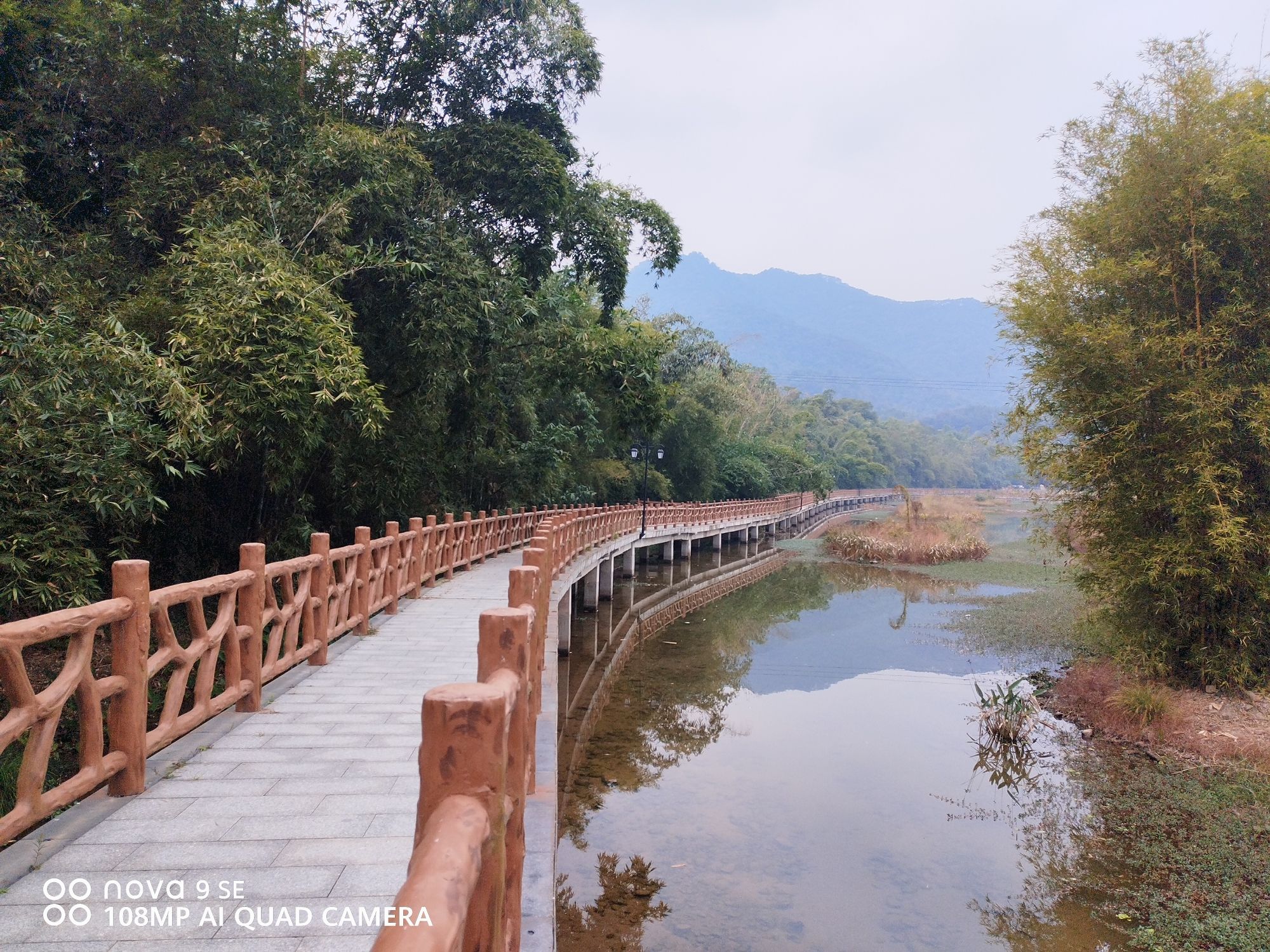 西岸湿地公园旅行图片 1