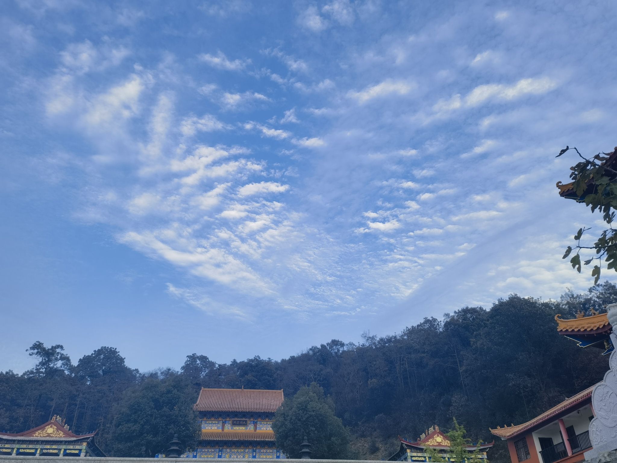 津市市嘉山禅寺旅行图片 1