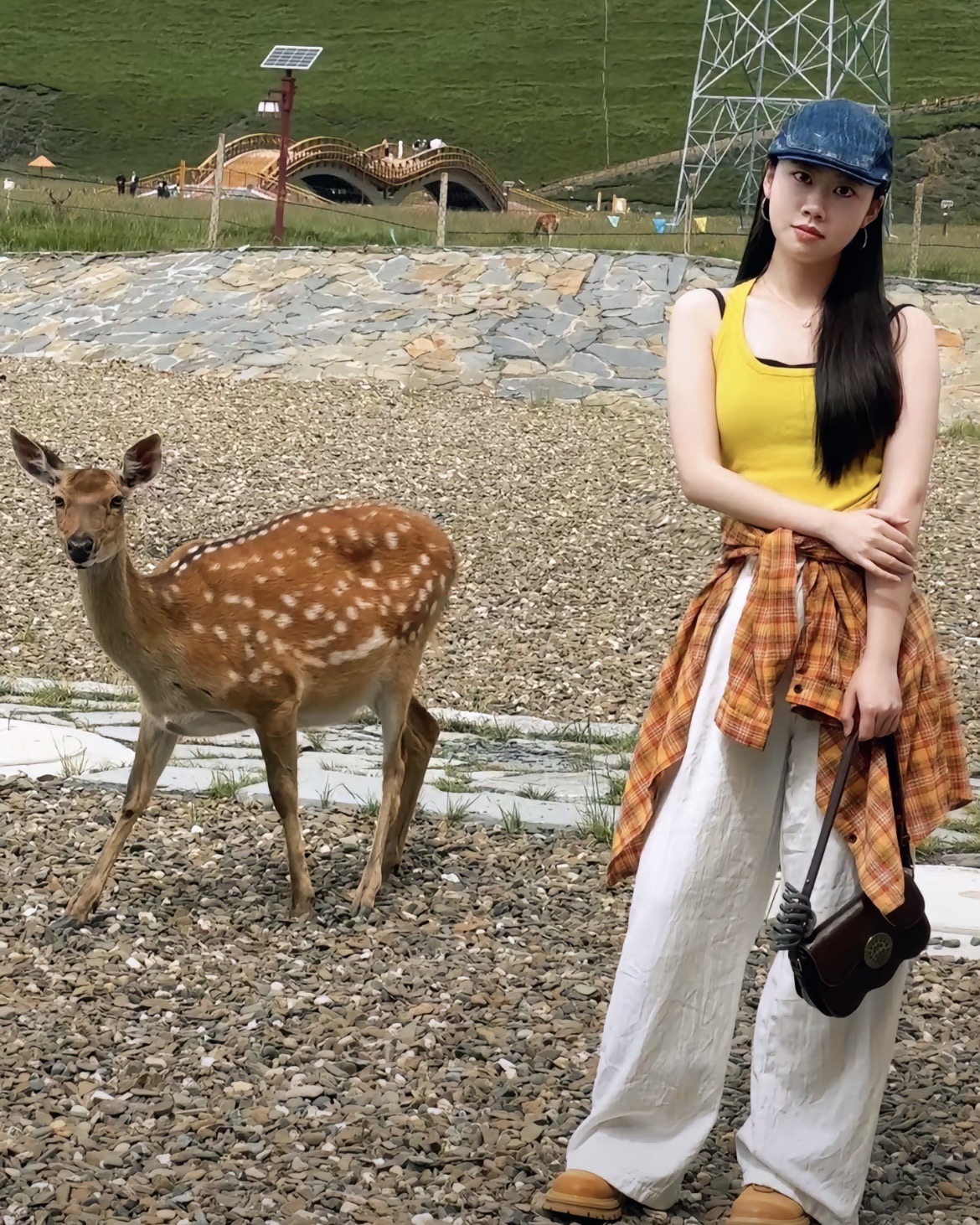 雅克鹿之谷旅行图片 2