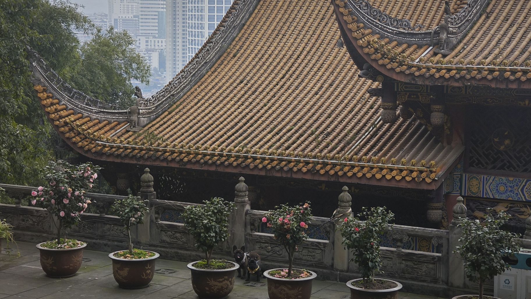 东山古城旅行图片 2