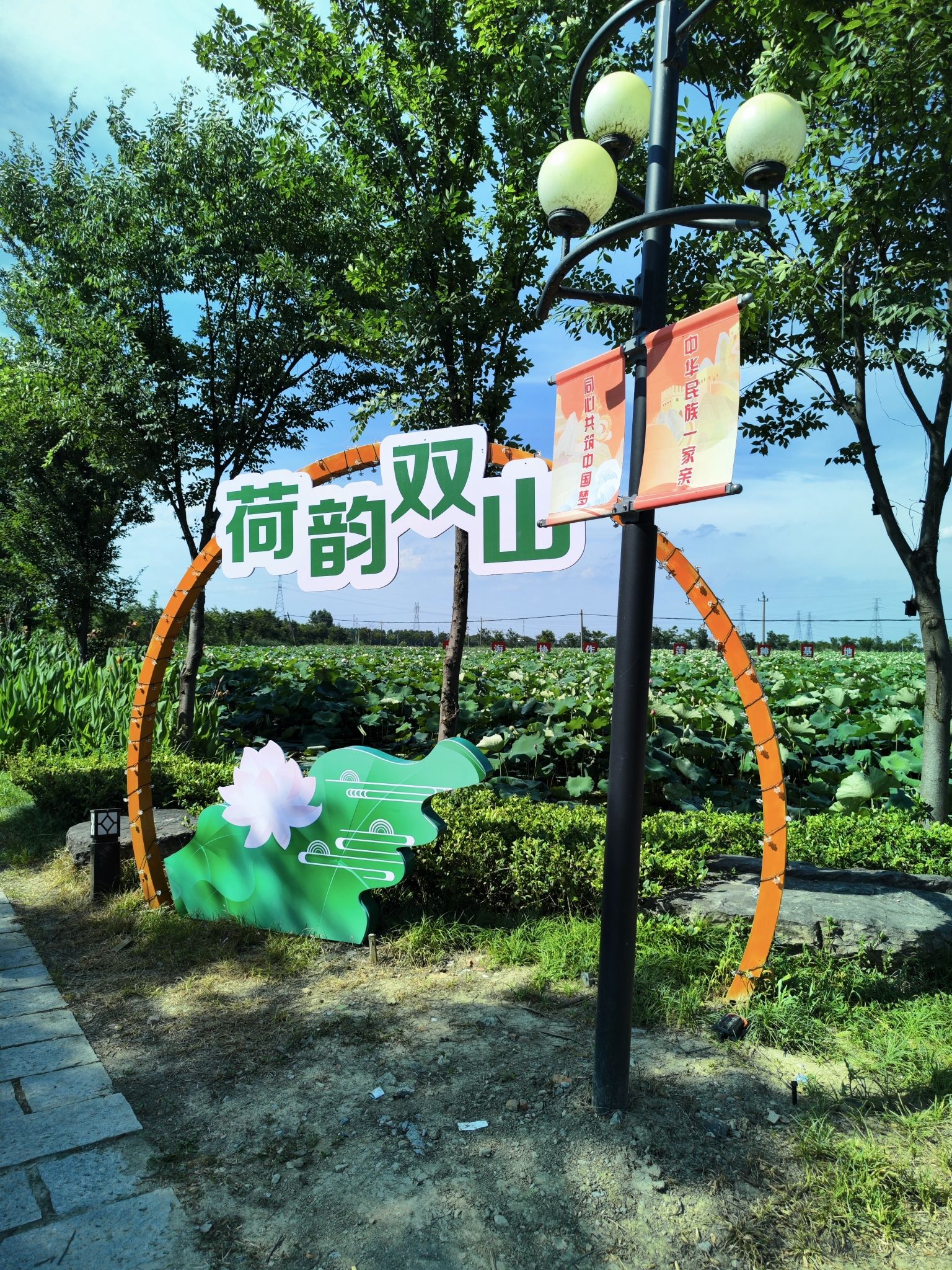 十里风荷旅行图片 2
