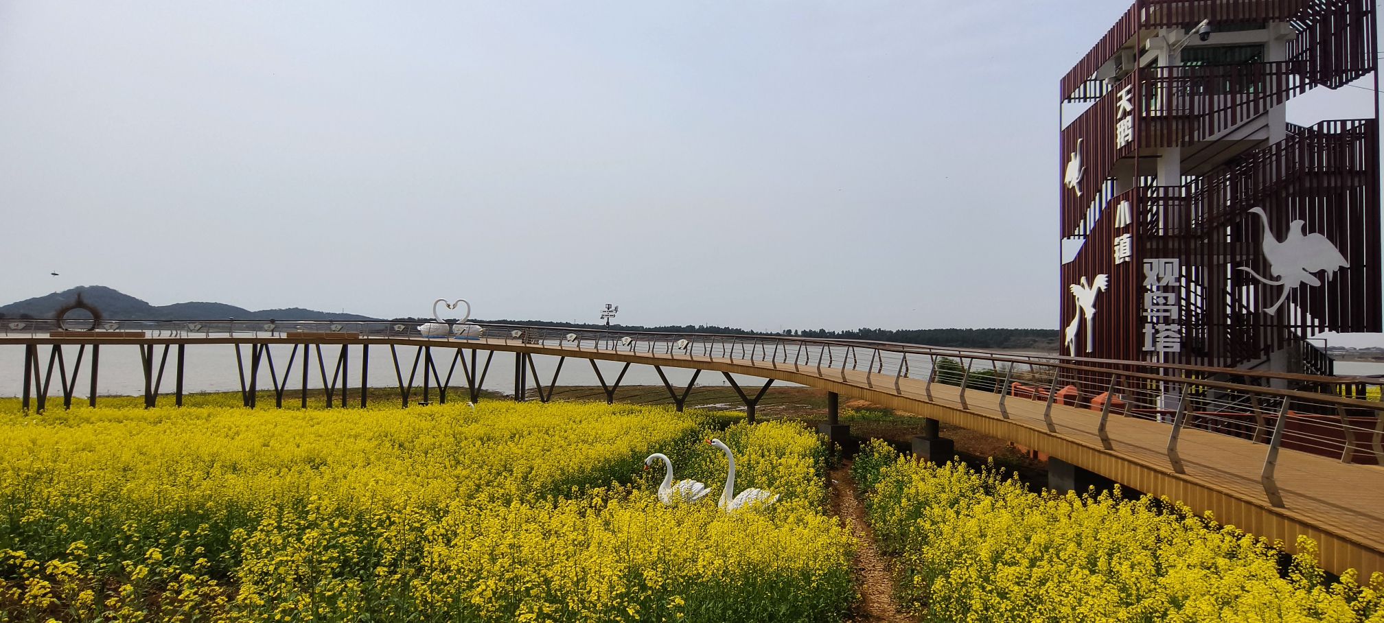 天鹅小镇观鸟塔旅行图片 2