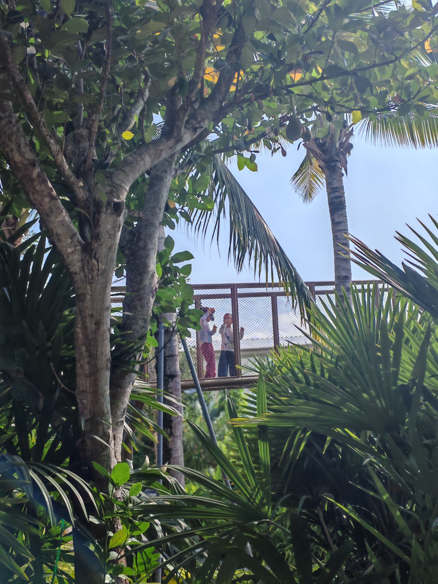 海棠河生态公园旅行图片 3