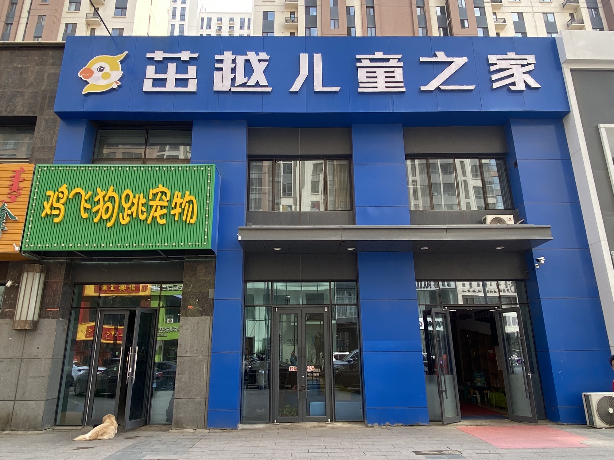 茁越儿童之家(万达二街校区)