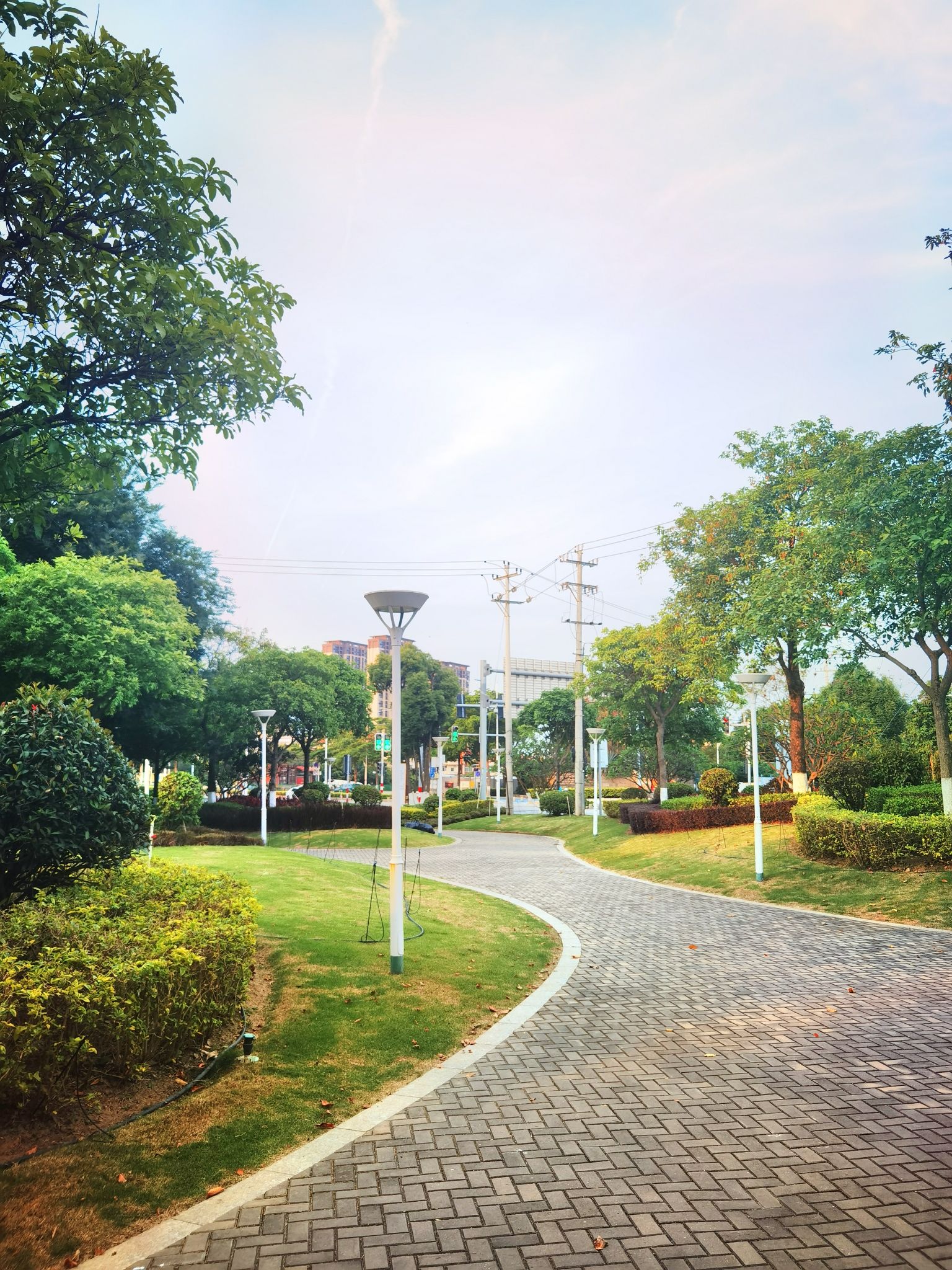 莫兰蒂公园旅行图片 2