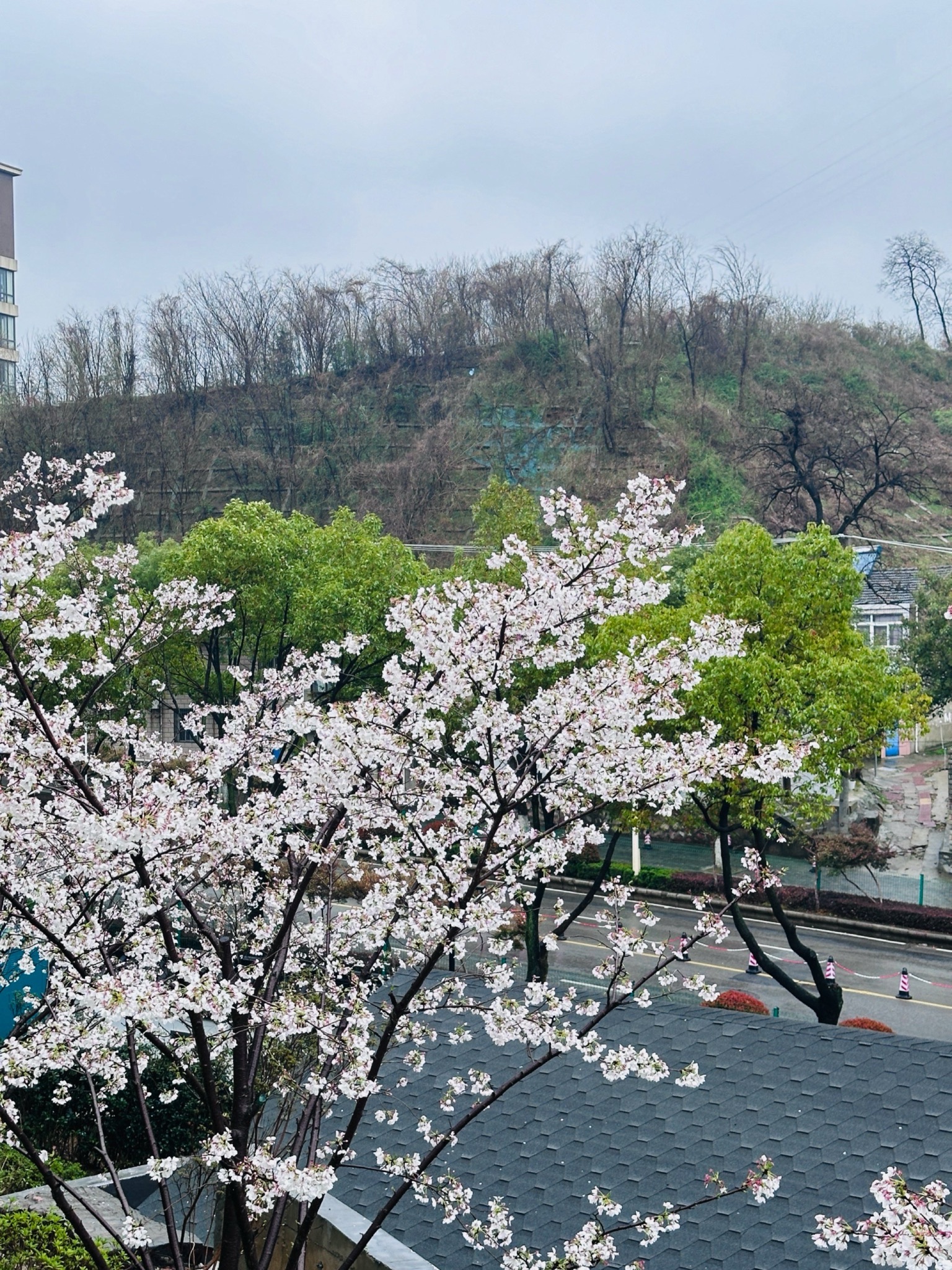 观音门公园旅行图片 1
