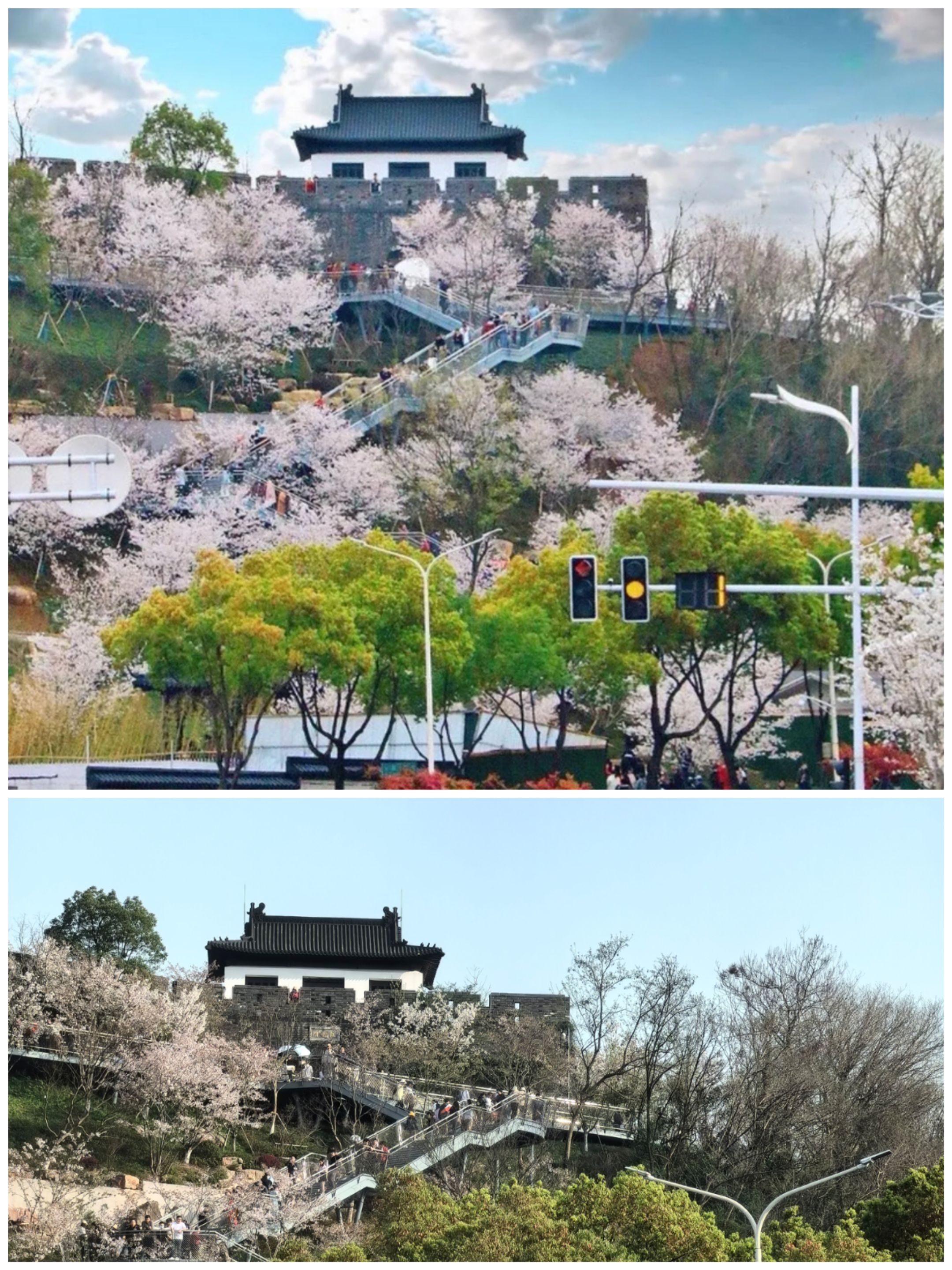 观音门公园旅行图片 1