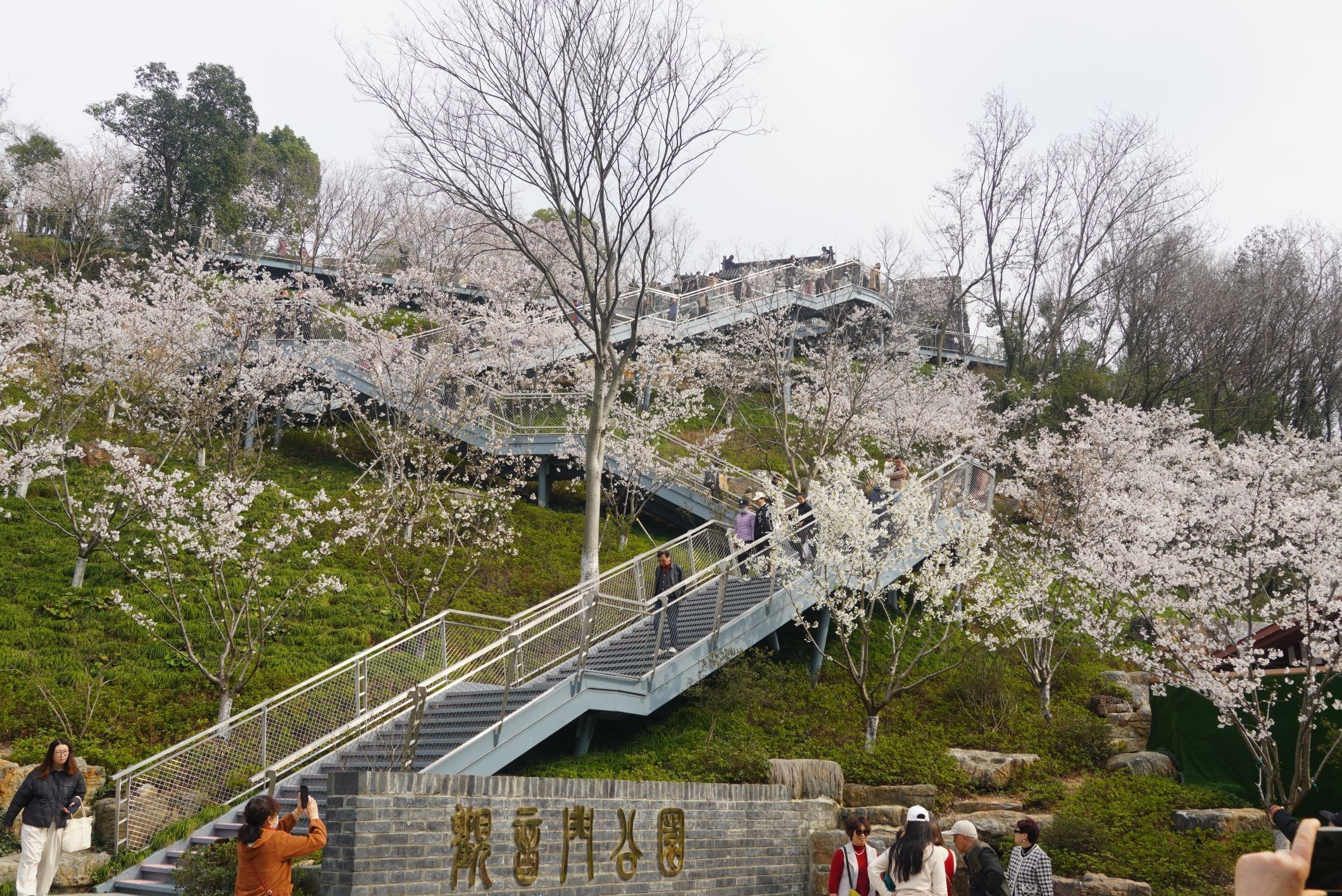 观音门公园旅行图片 3