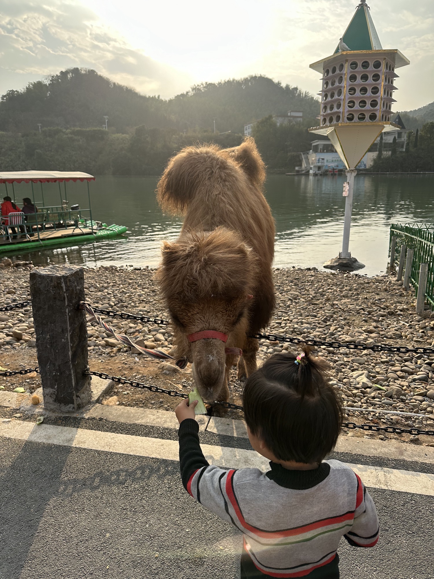瓦窑坪历史文化街区旅行图片 2