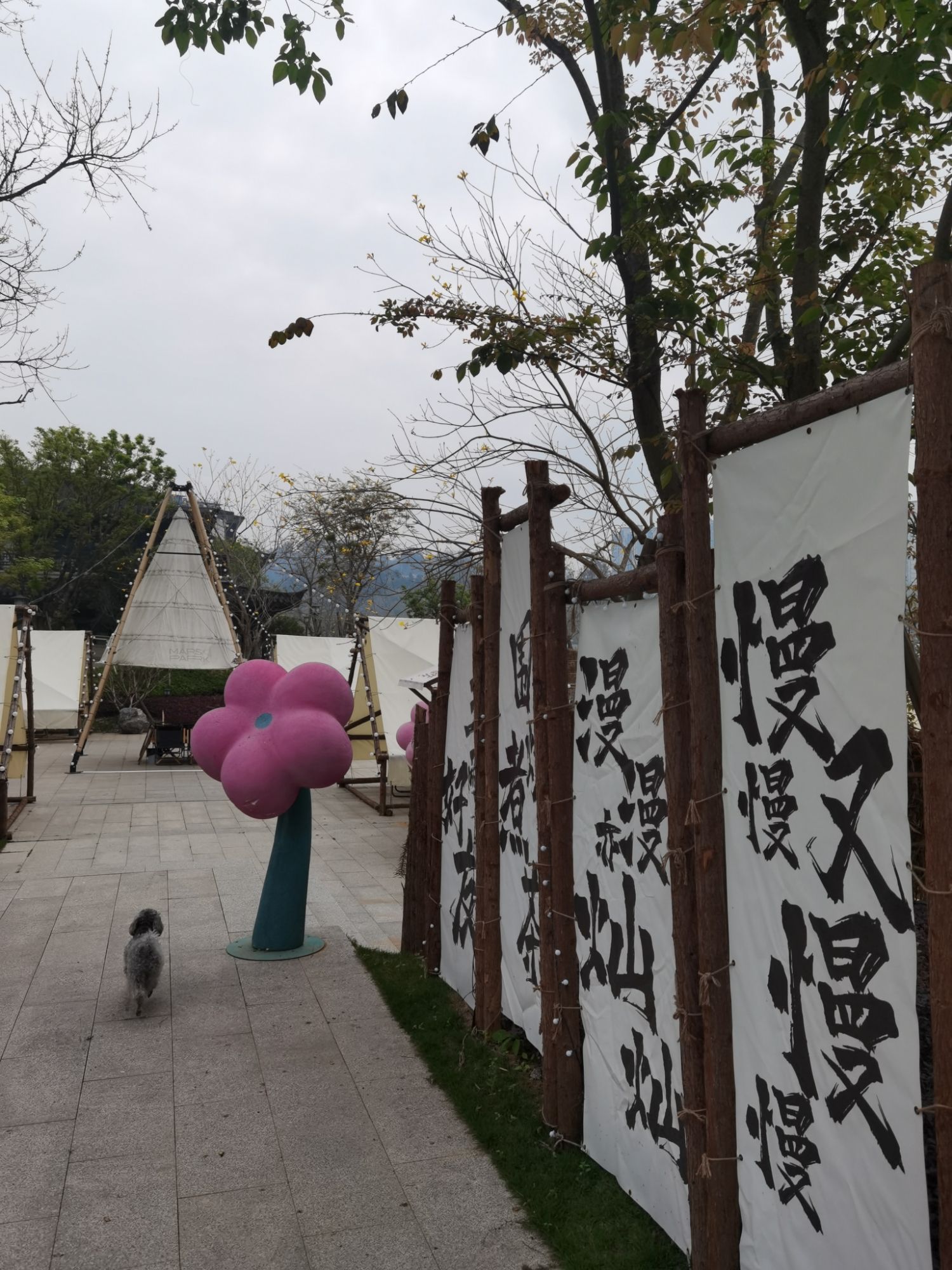 山也火星艺术营地