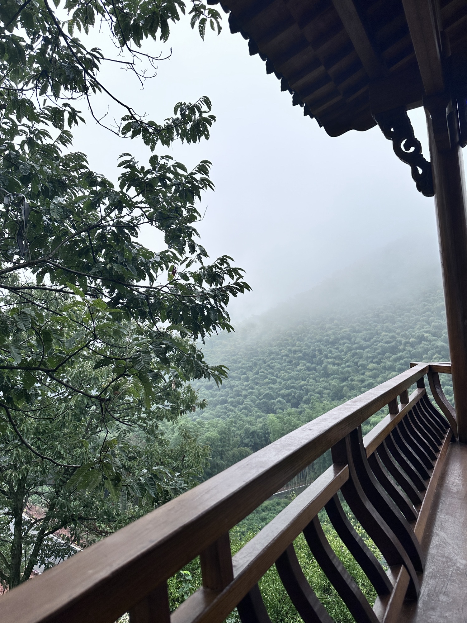 盘龙谷景区旅行图片 2