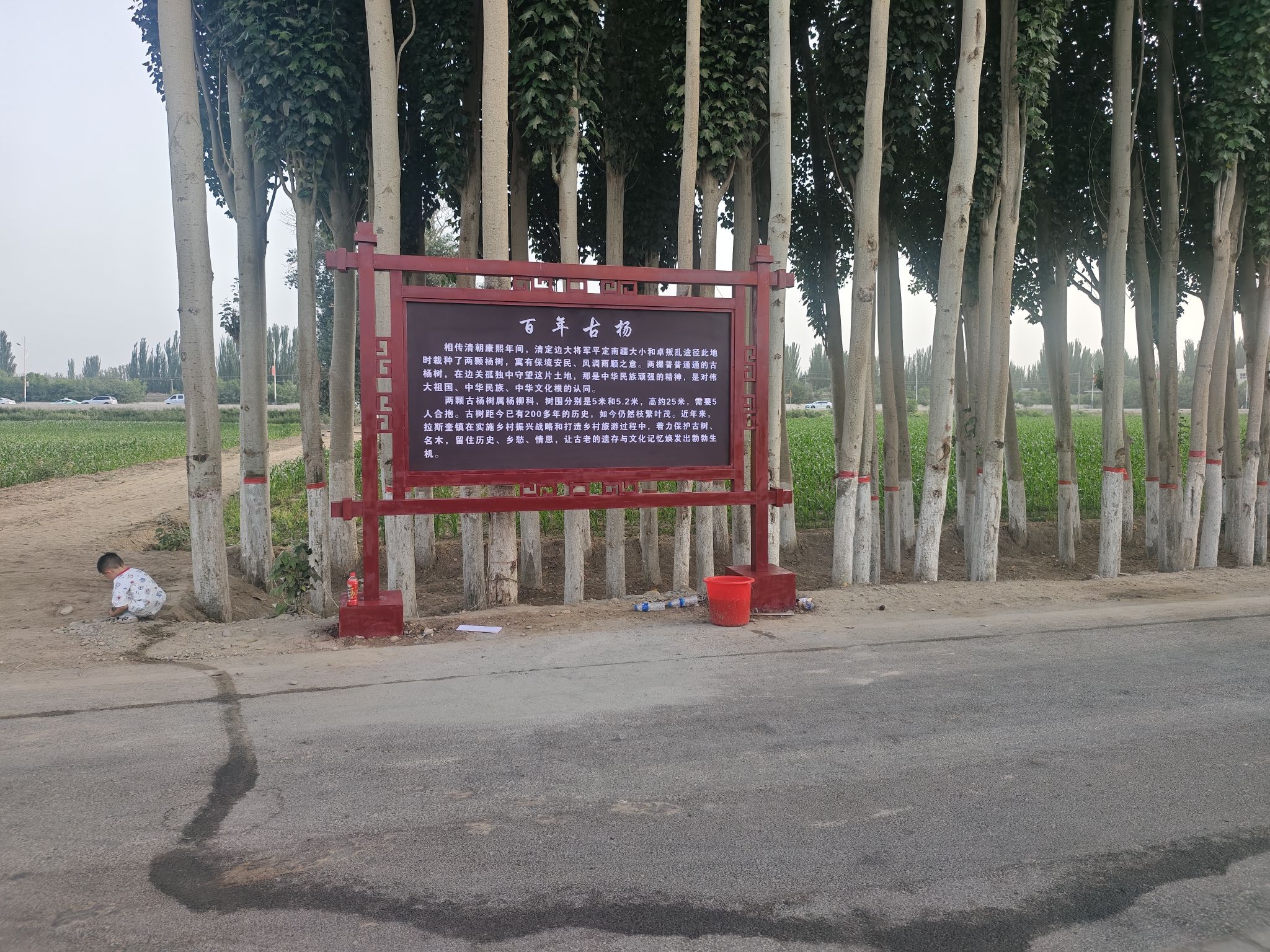 和田中道文化传媒有限公司