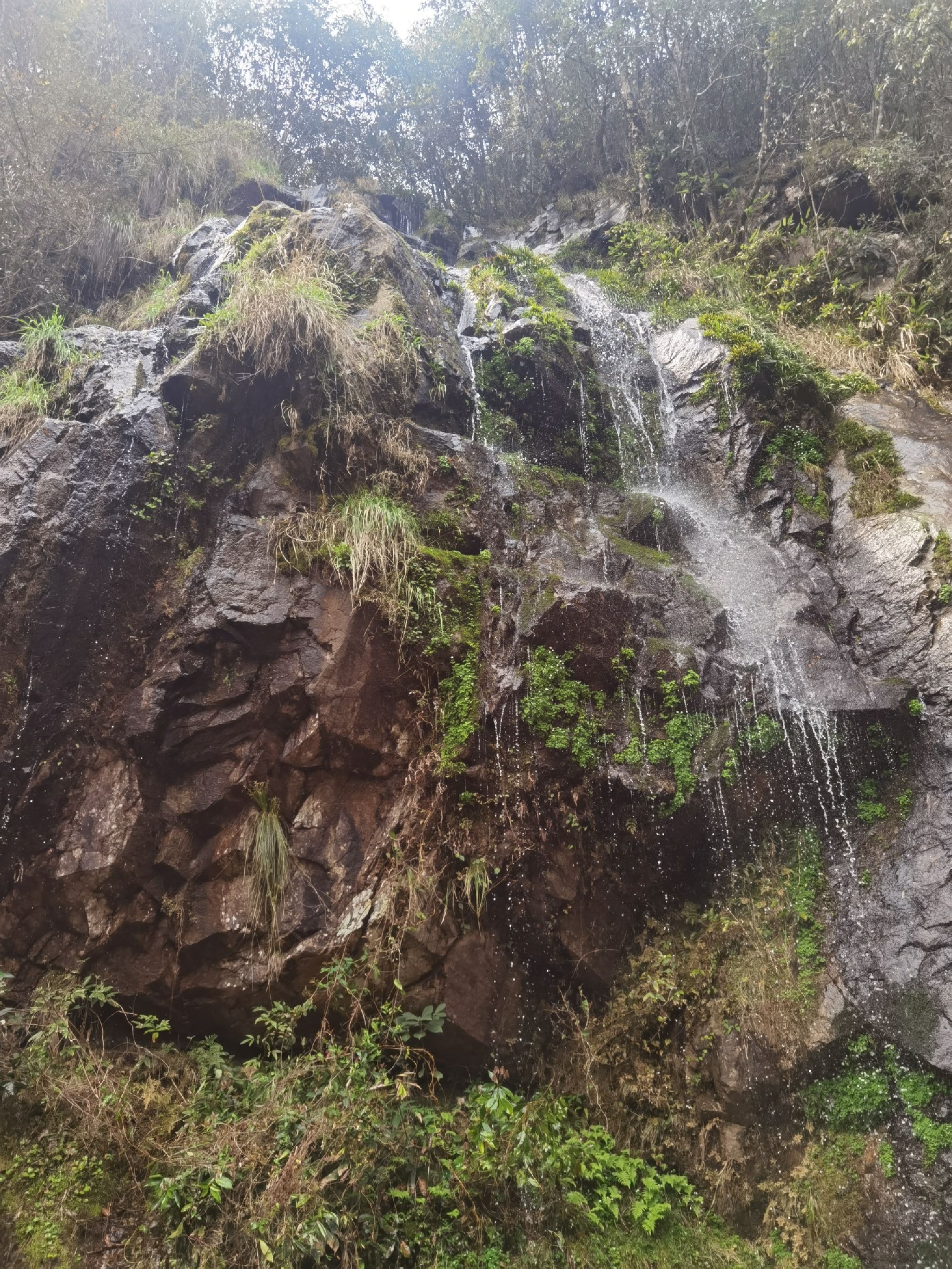 油煎豆腐瀑布旅行图片 3